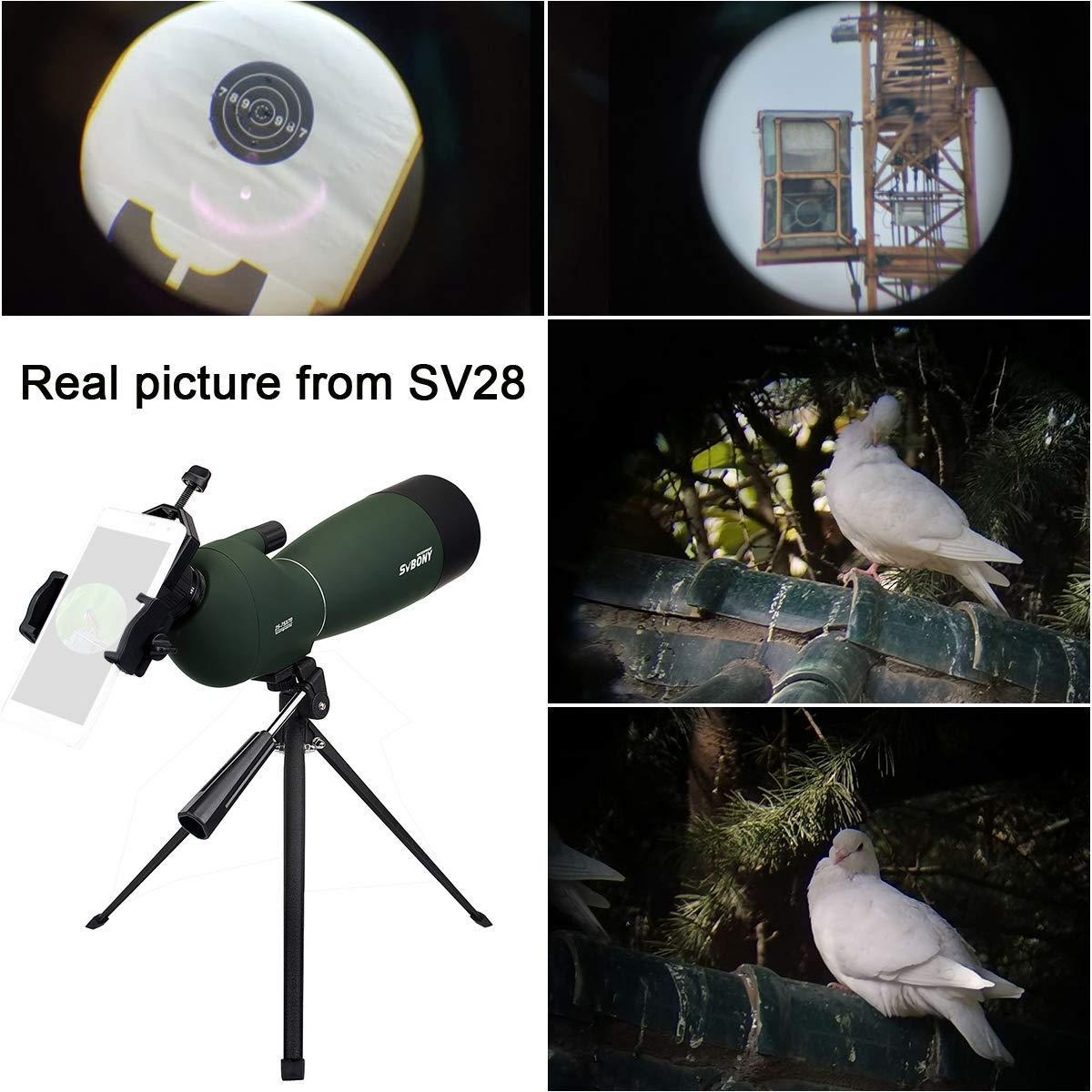 SVBONY SV28 Spotting Scopes with Tripod, Angled 25-75x70mm Spotter Scope with Phone Adapter, Waterproof Fogproof Spotting Scope for Bird Watching, Target Shooting, Wildlife Viewing - Image 6