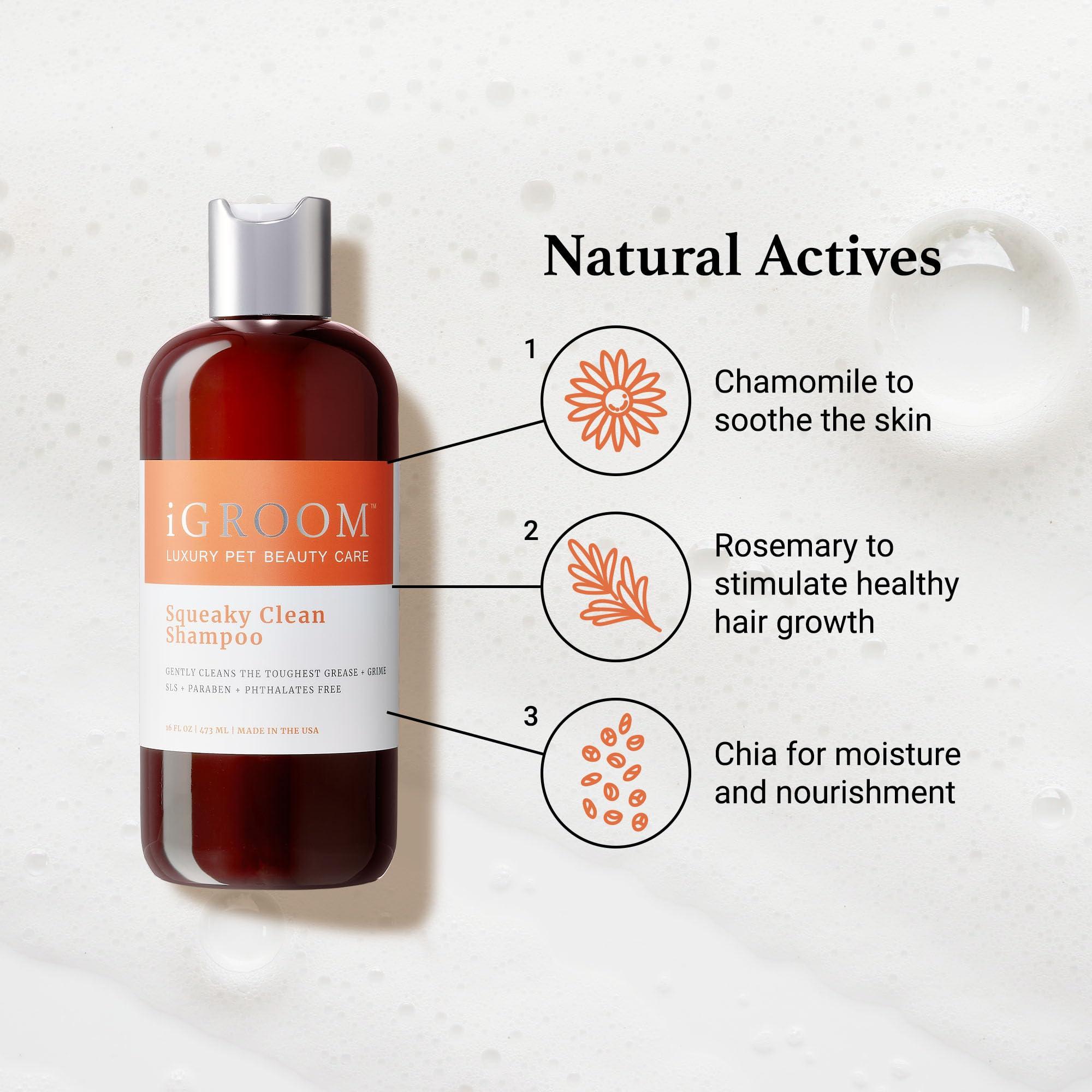 iGroom Squeaky Clean Dog Shampoo, Luxury Pet Beauty Care, Intense Cleaning Power, Chamomile Extracts Sooth Skin, Made in USA (1 GAL) - Image 6