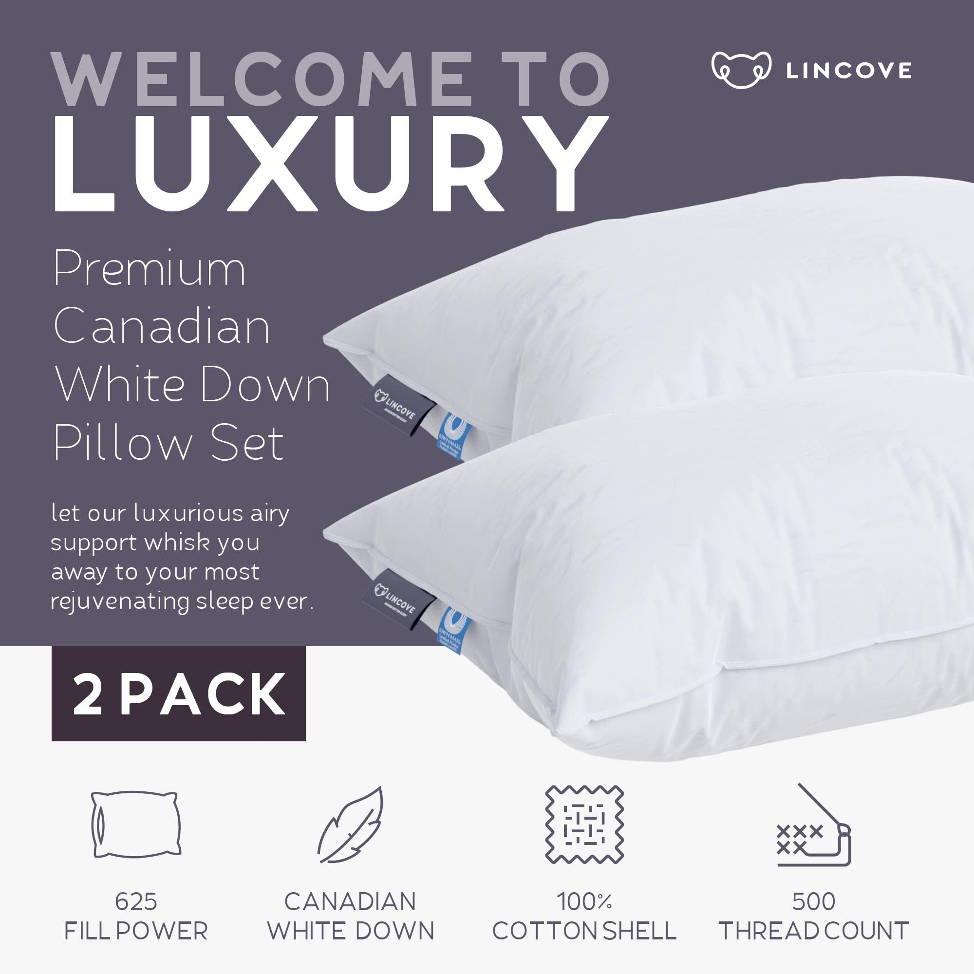 Lincove Cloud Natural Canadian Down Pillow, White Luxury Sleeping Pillow - 625 Fill Power, 500 Thread Count Cotton Shell, Made in Canada, Standard - Firm, 2 Pack - Image 2