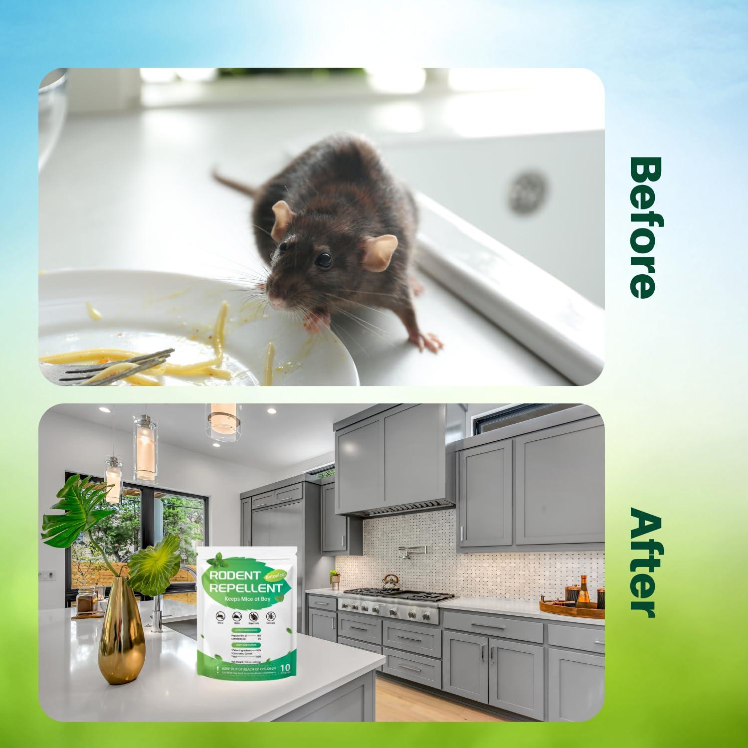 Rodent and Mouse Repellent 10 Pcs, Extra-Strength Natural Mouse Repellent Pouches, Keep mice Away for House, Cinnamon/Peppermint Oil to Repel Mice and Rats in Shed/Attic/Cabin/RV/Garage - Image 6