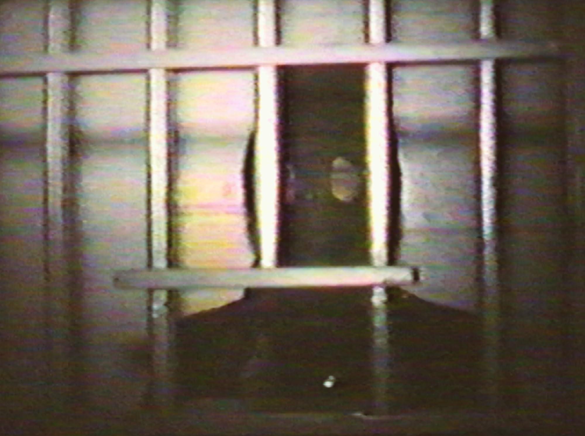 Cannibal Orgy and the Films of J.T. IV - Image 6