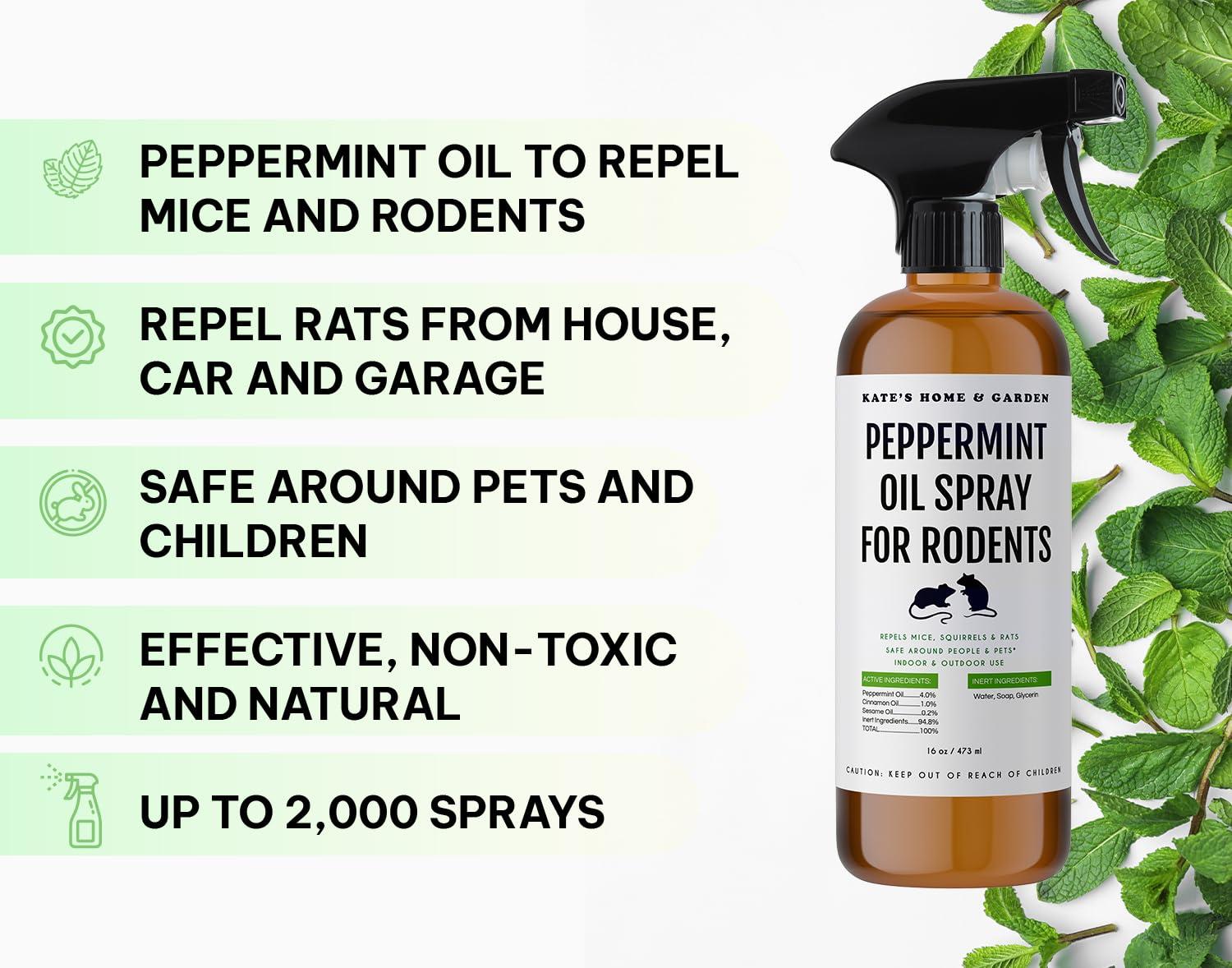 Kate Naturals Peppermint Oil Spray for Rodents, Mouse (16oz, Pet Safe). Rodent Repellent Outdoor for Car Engines, Mice, Rat, Bat, House, Plants, Attic, Basement - Image 2
