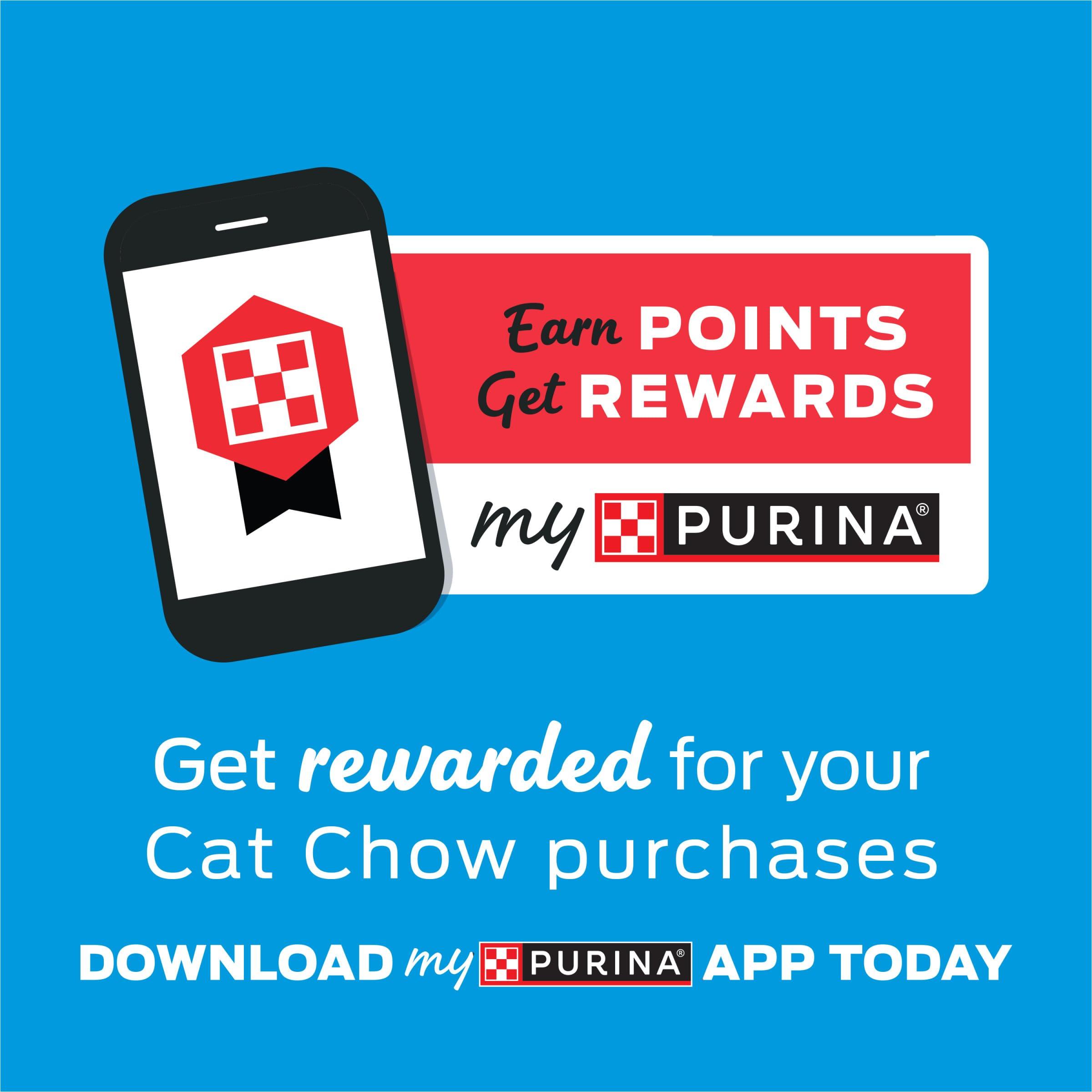 Purina Cat Chow Gentle Dry Cat Food, Sensitive Stomach + Skin - 13 lb. Bag - Image 8