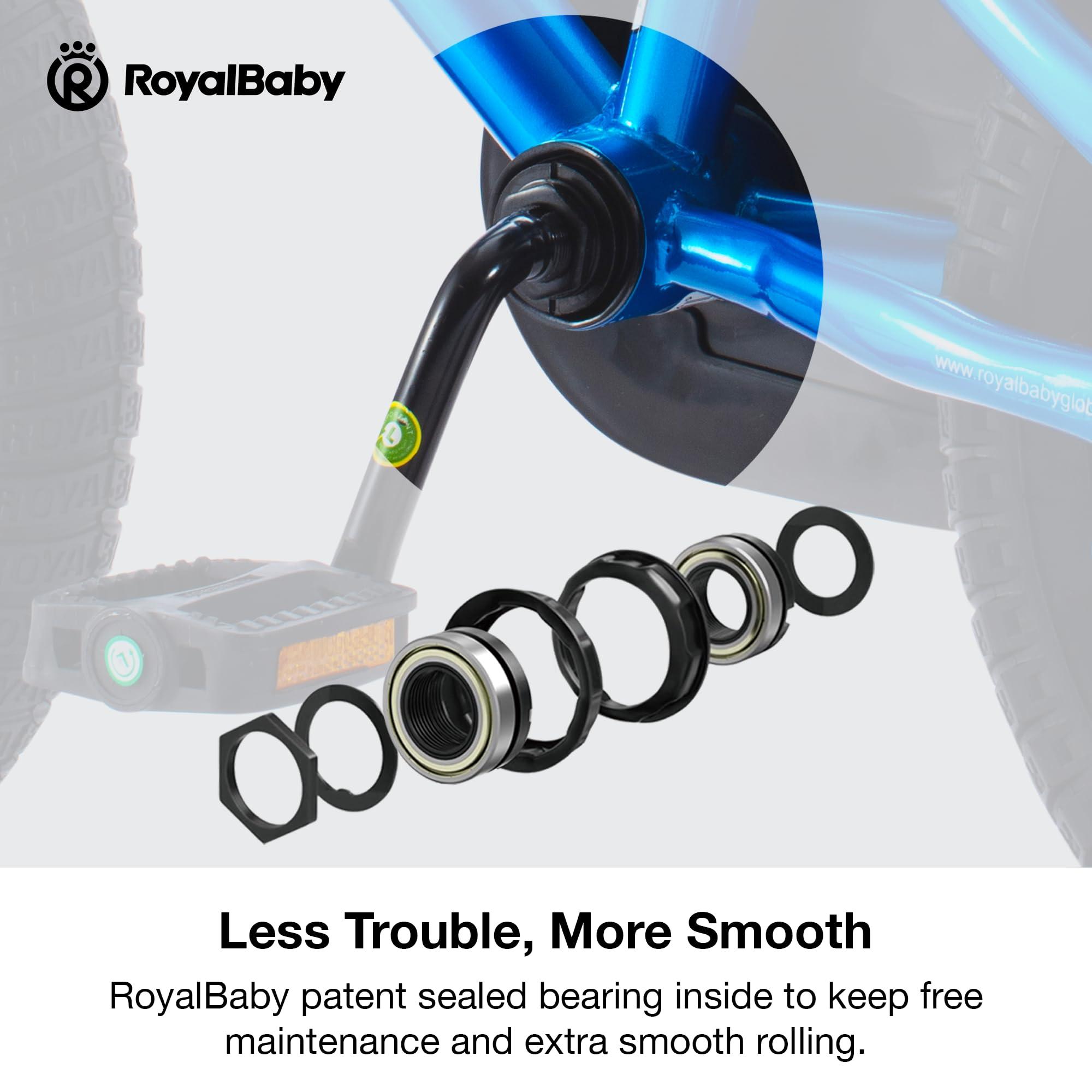 RoyalBaby Kids Bike EZ Freestyle Training Free Balance to Pedal Easy Learning Bicycle, 12-18 Inch for Toddlers to Big Kids - Image 3