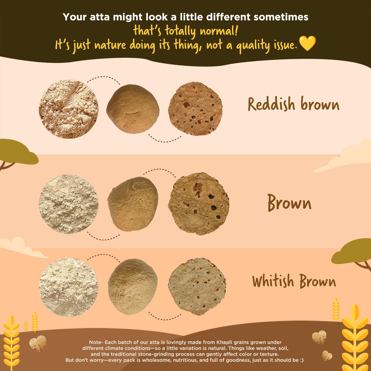 Two Brothers Organic Farms - Khapli Wheat Flour (5kg) | Low-Gluten Wheat Flour | High Dietary Fiber for Easy Digestion | Stoneground Emmer | Khapli Atta | Organic Atta (Pack of 1 kg x 5) - Image 6