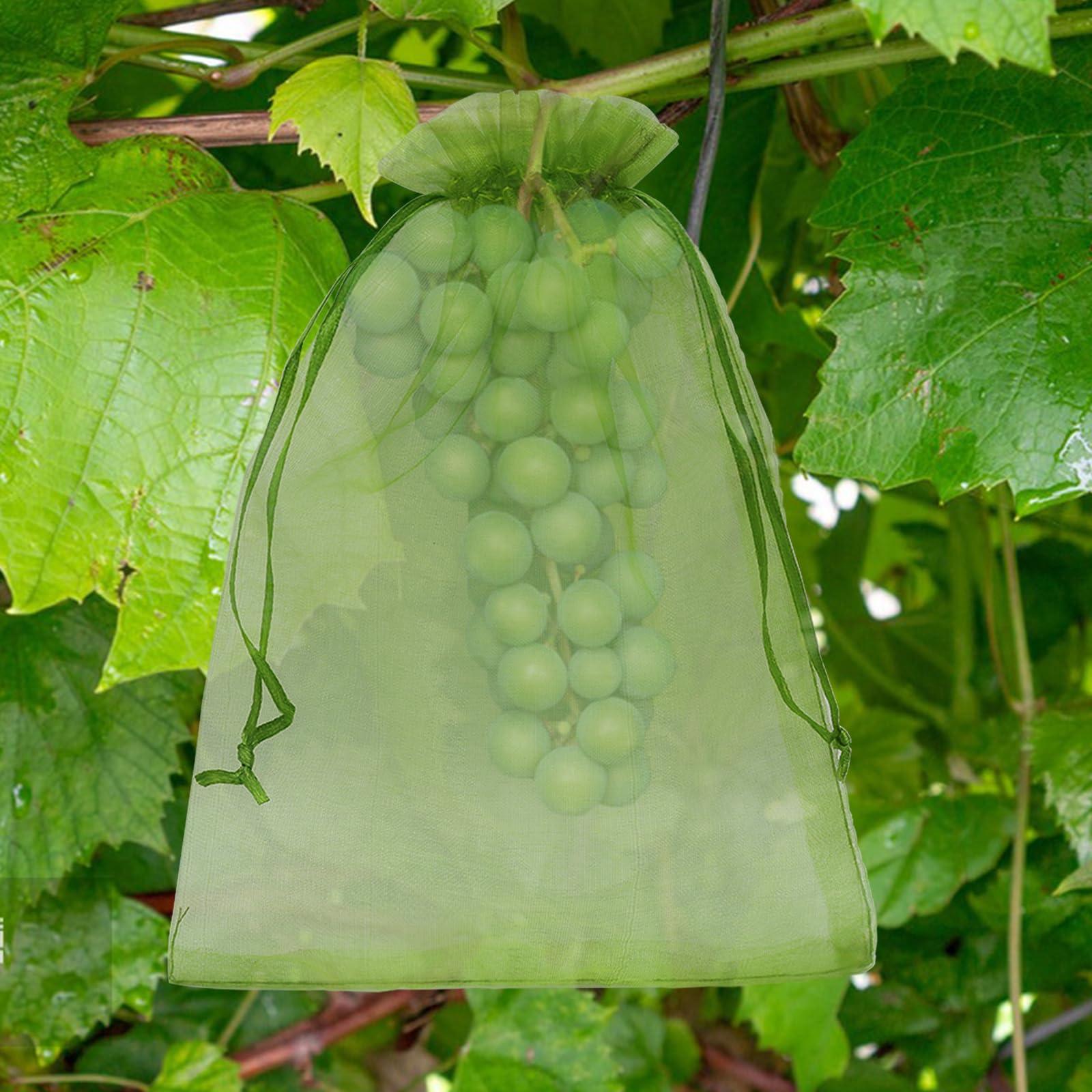 Uigidori 100 Pcs Fruit Protection Bags, 6.5 x 9 Inch Green Netting Cover Bags with Drawstring, Pest Barrier for Trees, Garden Fruit Cover Mesh Bag for Plant Vegetables and Flowers - Image 2