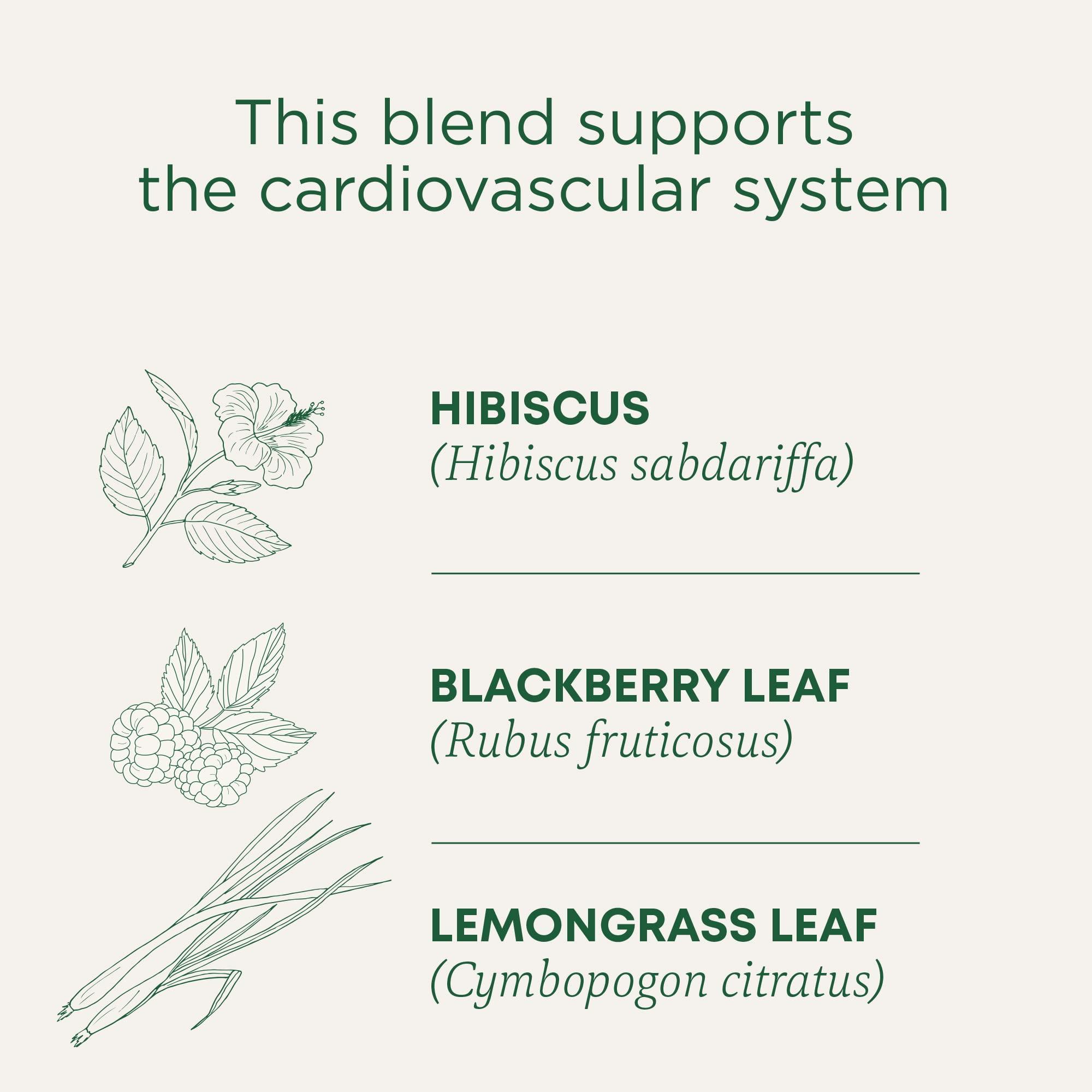 Traditional Medicinals Tea, Organic Hibiscus, Supports Your Cardiovascular System, 16 Tea Bags - Image 3