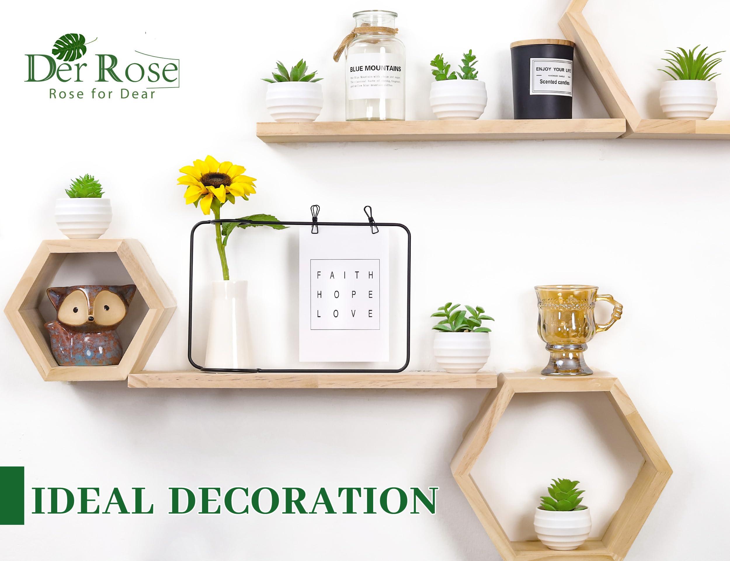 Der Rose Set of 6 Succulents Plants Artificial in Pots Small Fake Plants for Bedroom Aesthetic Living Room Office Shelf Bathroom Decor - Image 4