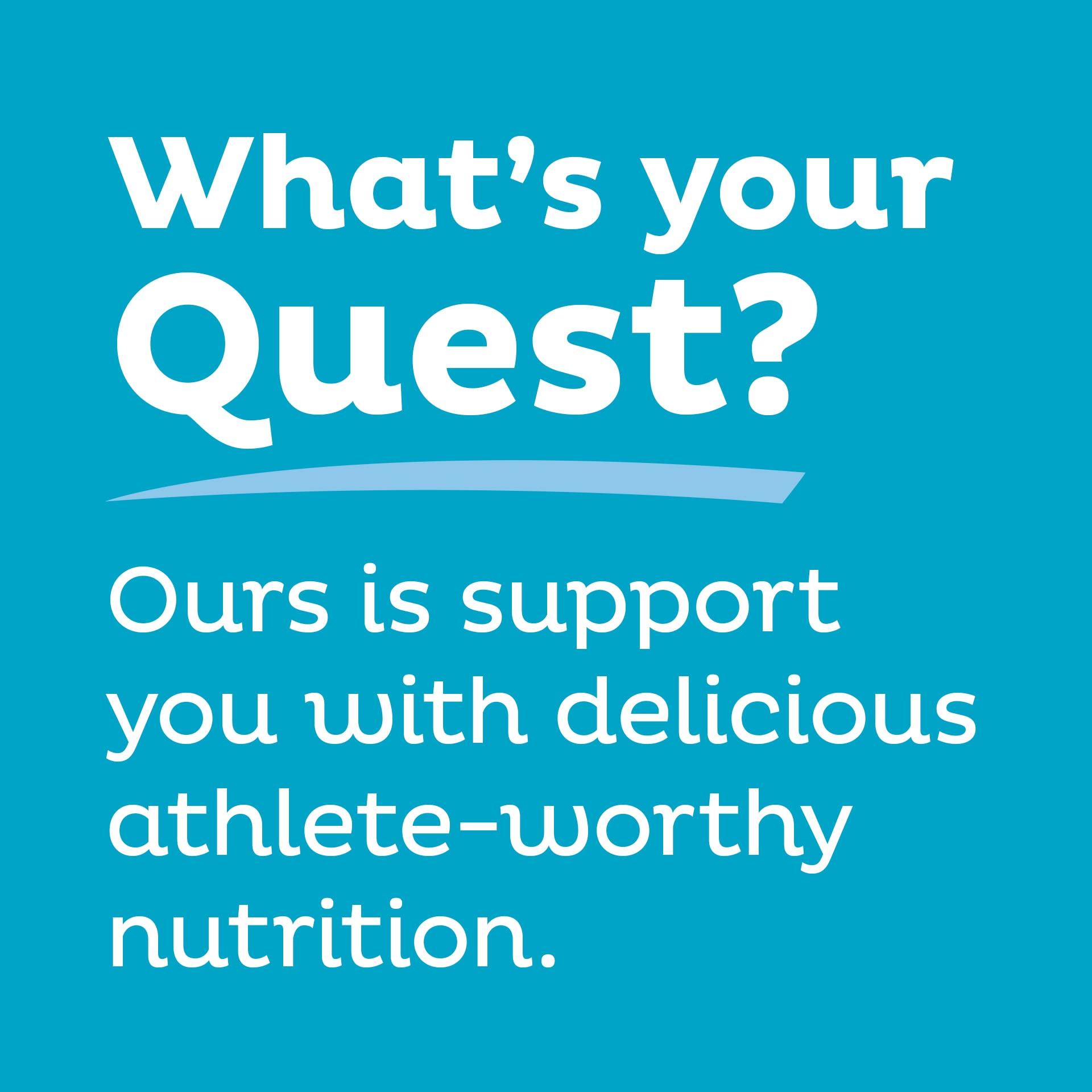 Quest Nutrition Protein Chips Variety Pack, BBQ, Cheddar & Sour Cream, Sour Cream & Onion, High Protein, Low Carb, 1.1 oz (Pack of 12) - Image 7