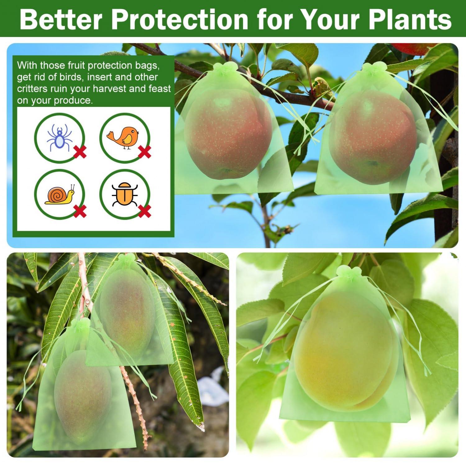 June Fox 50 Pcs Fruit Protection Bags 6x9 inch, Fruit Netting Cover Bags with Drawstring for Mangoes Tomatoes Fruits Trees Veggies Garden (Green) - Image 5