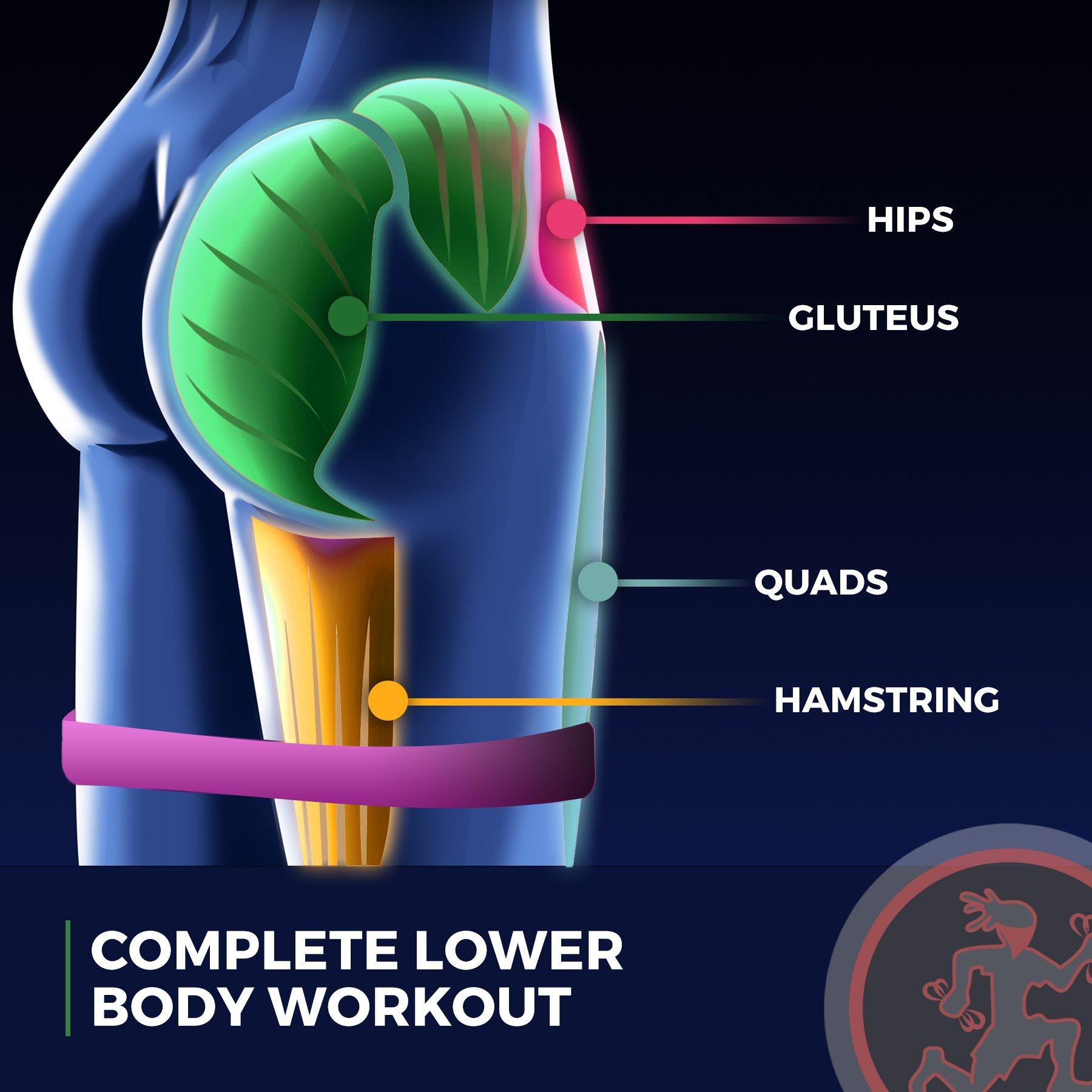 Rubberbanditz Extra Thick Booty Bands - for Glutes and Legs Workouts - Includes eGuide for Women - Mini Loop Exercise Band Engages HIPS, Thighs, Butt, and Abs - 5 Mini Resistance Band Sizes 5-100 lbs - Image 4
