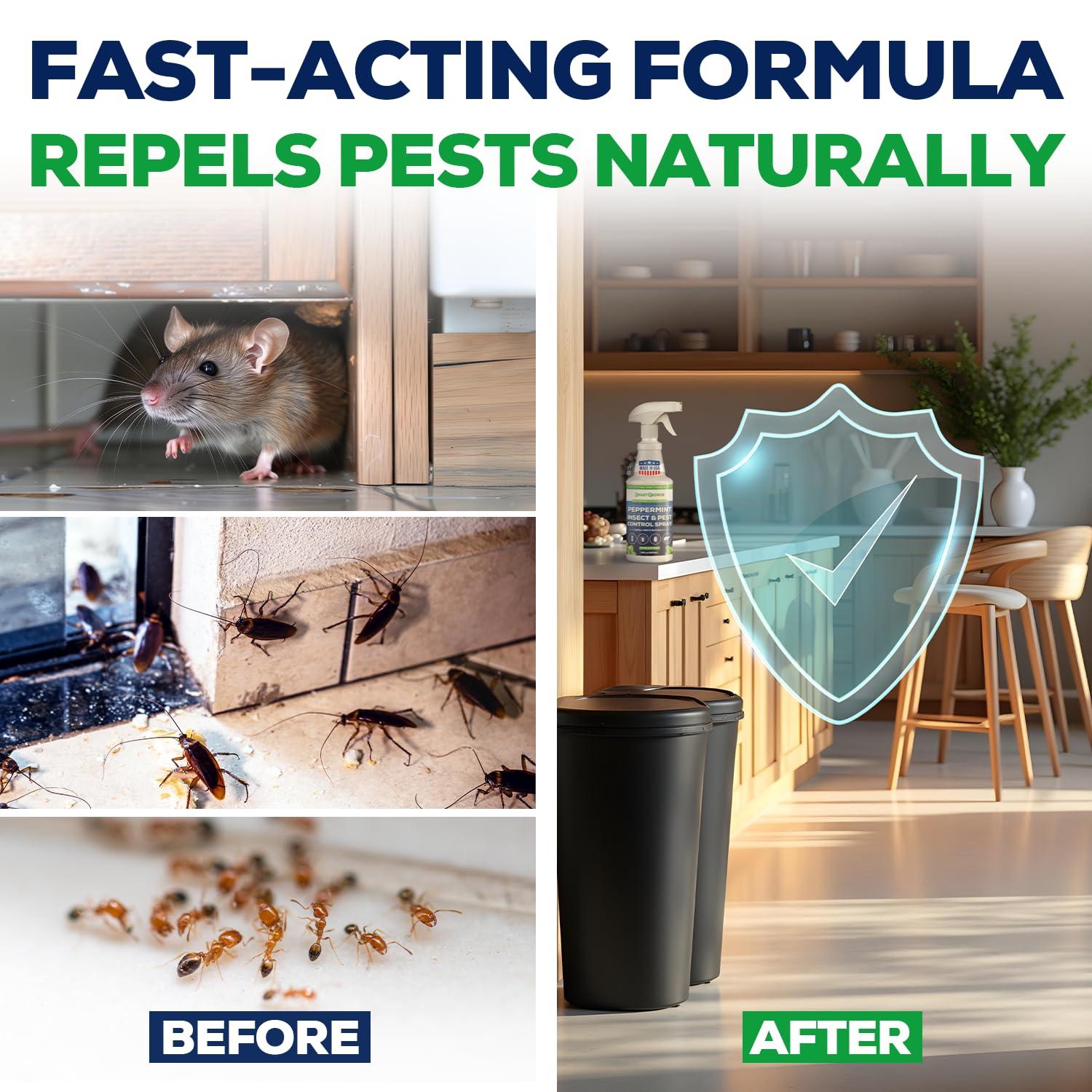 All Natural Peppermint Oil Insect & Pest Control Spray Repels Mice, Spiders, Ants, for Home, Indoor, Outdoor, Garden Maximum Strength Smart Grower Ready to Use 16 FL OZ - Image 5