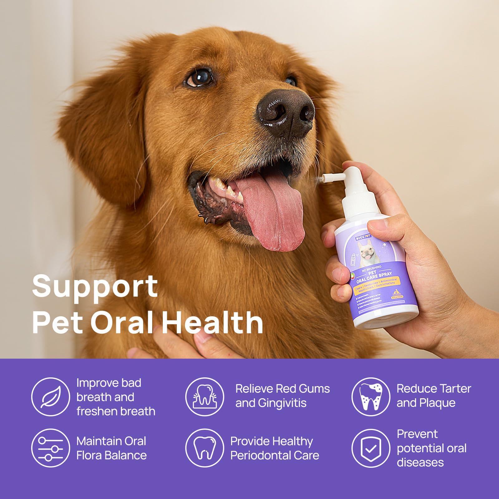 HICC PET Oral Care Spray for Dogs and Cats, Pet Breath Dental Care Spray, Dog Gingivitis Treatment, Fight Bad Breath Caused by Plaque and Gum Redness, Dog Tooth Brushing Kit, 5.1 Fl Oz - Image 2