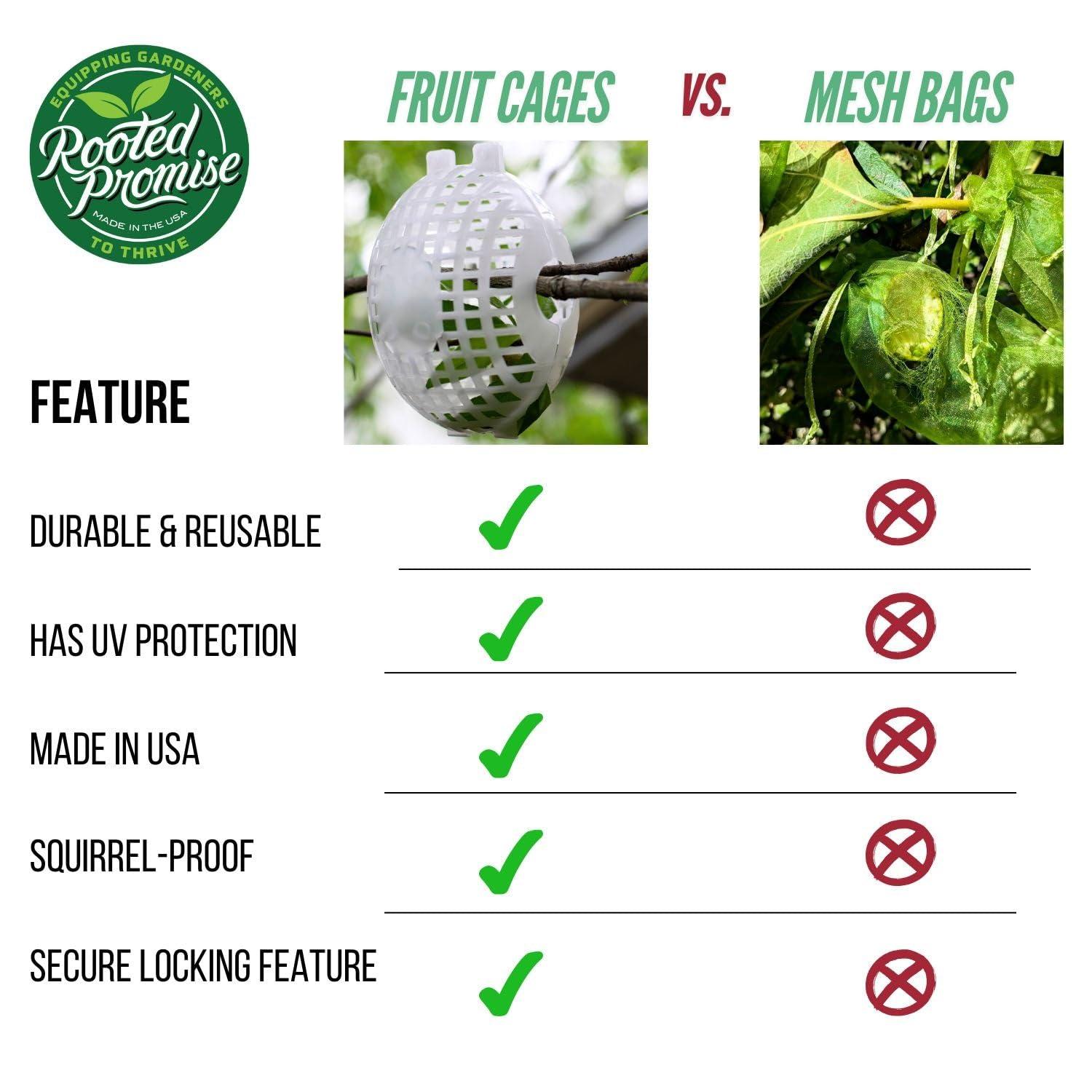 Rooted Promise 12 Pack Small Fruit Protection Cages 4 x 5 inch, Perfect for Protecting Fruit Trees - Made in The USA - Image 5