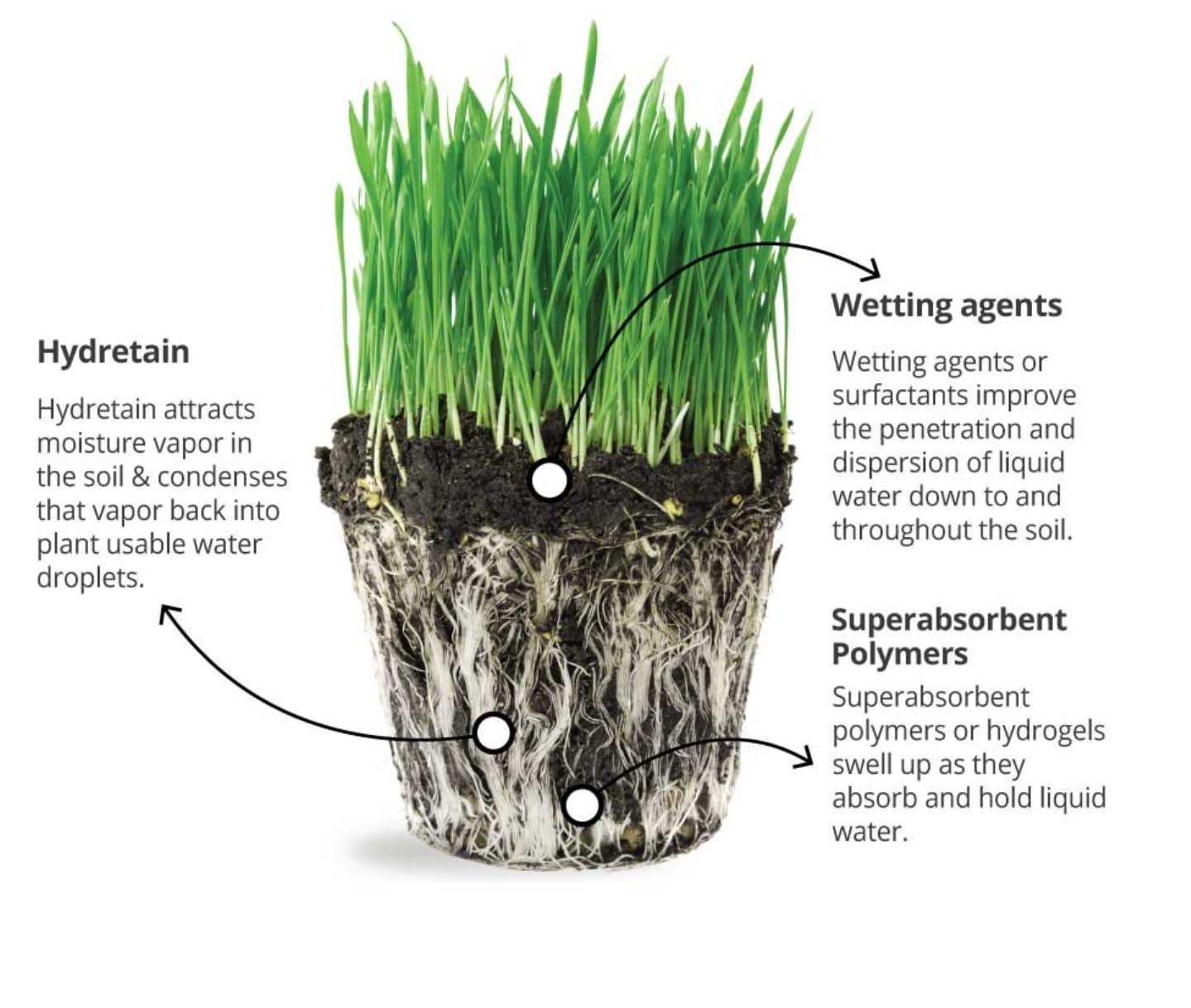 Hydretain Root Zone Moisture Manager - Drought Protection and Moisture Control for Lawns, Gardens, Containers - Reduces Watering, Delays Wilt - Covers up to 1,000 Sq Ft (3 lbs, Granule) - Image 2