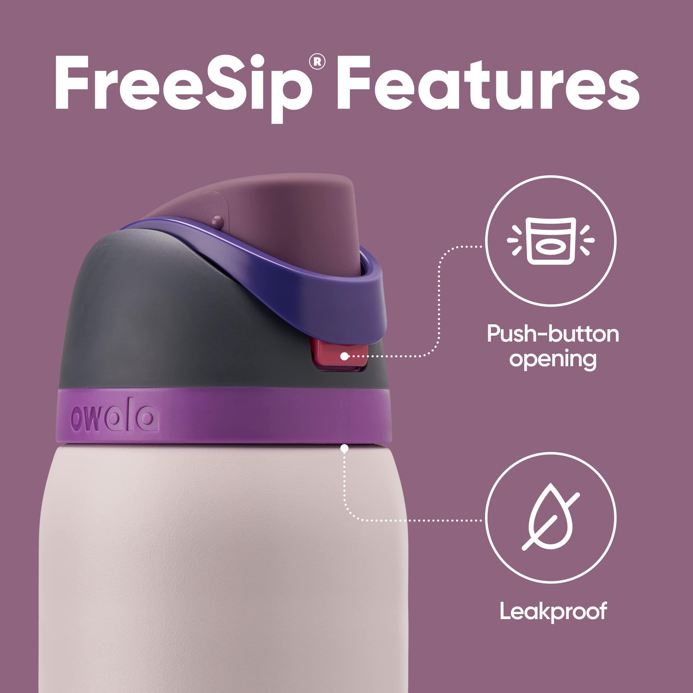 Owala FreeSip Insulated Stainless Steel Water Bottle with Straw for Sports, Travel, and School BPA-Free Sports Water Bottle, 32 oz, Dreamy Field - Image 4