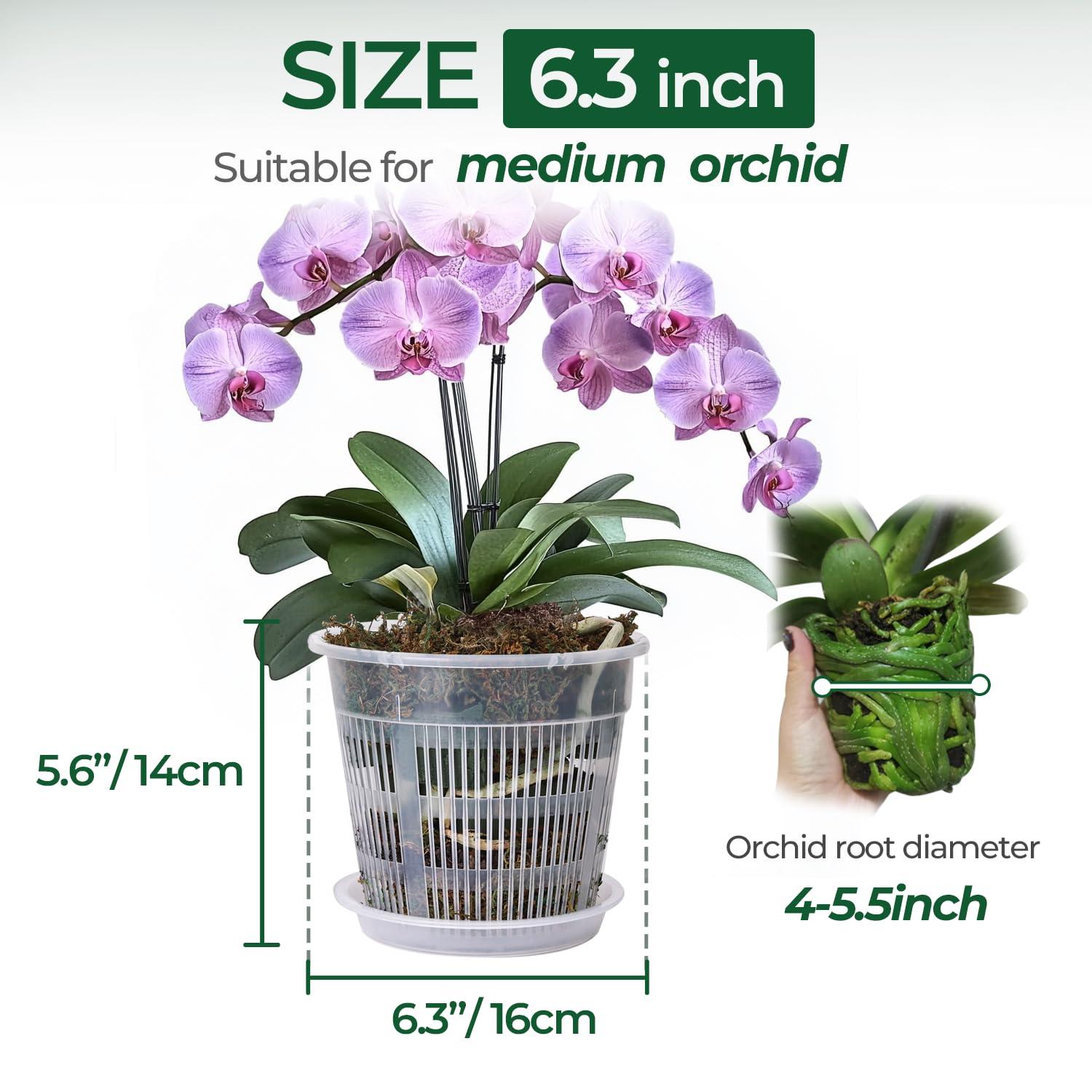 T4U Orchid Pot, 6 Pack 6.3 Inch Orchid Pots with Holes and Saucers, Clear Orchid Pots for Repotting, Plastic Flower Plant Pot for Indoor Outdoor Plants, Slotted Orchids Planter for Root Health - Image 3