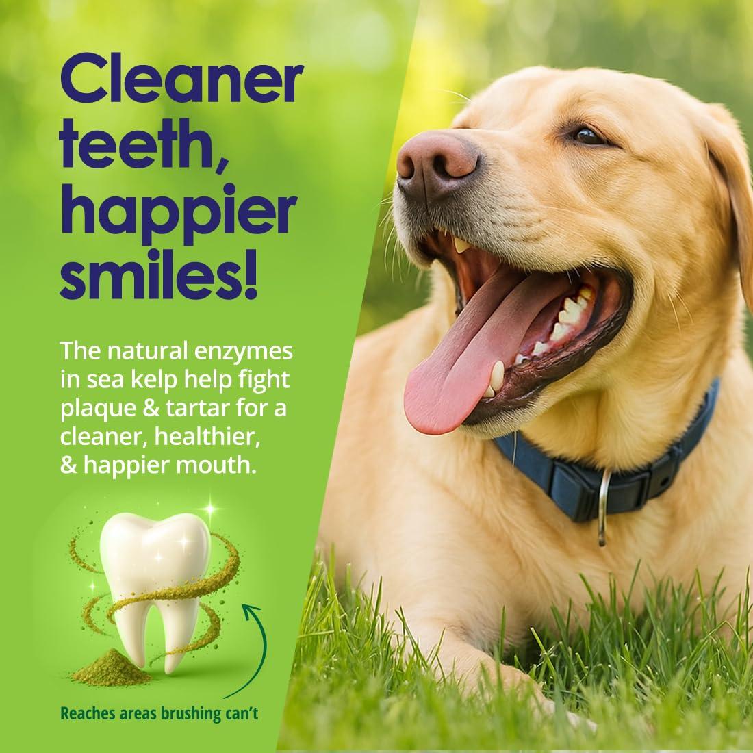 NuLife Natural Pet Health Dog Teeth Cleaning Powder, Dog Plaque and Tartar Remover, Bad Breath Treatment for Dogs with USDA Organic Sea Kelp Powder, Dog Dental Care Made Easy, for All Ages, 12 oz - Image 3