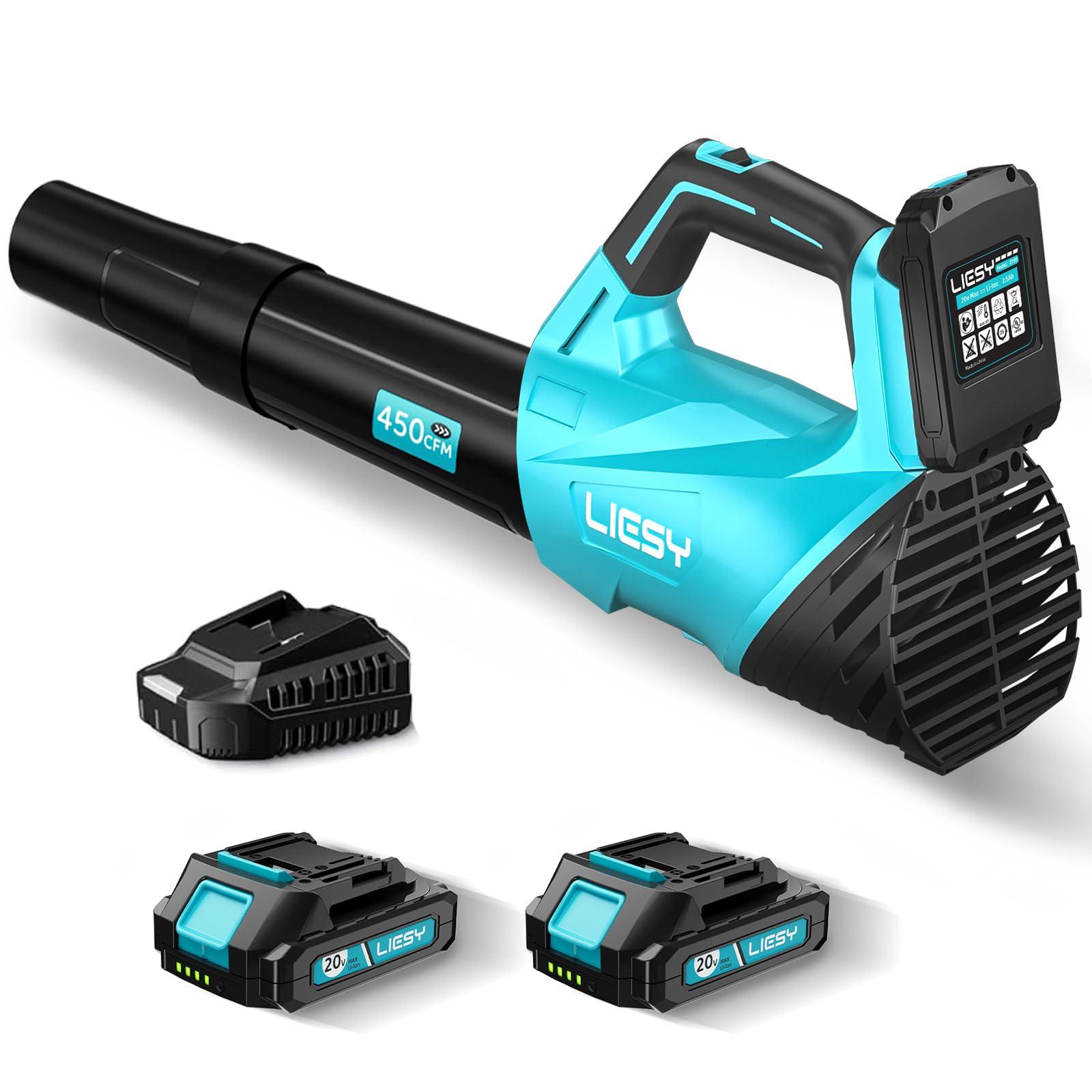 Leaf Blower Cordless with 2 * 20V Batteries and Charger, 2 Speed Levels, Electric Cordless Leaf Blower for Patio Cleaning, Lawn Care, Blowing Fallen Leaves and Dust