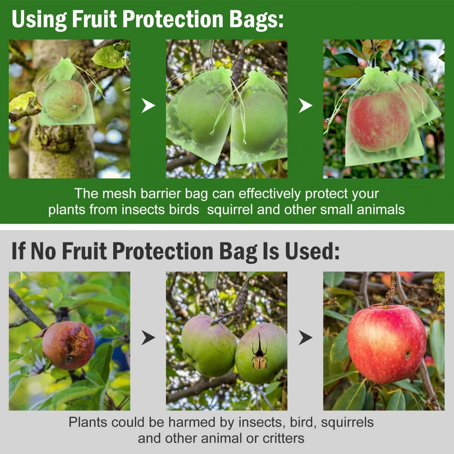 June Fox 50 Pcs Fruit Protection Bags 6x9 inch, Fruit Netting Cover Bags with Drawstring for Mangoes Tomatoes Fruits Trees Veggies Garden (Green) - Image 6