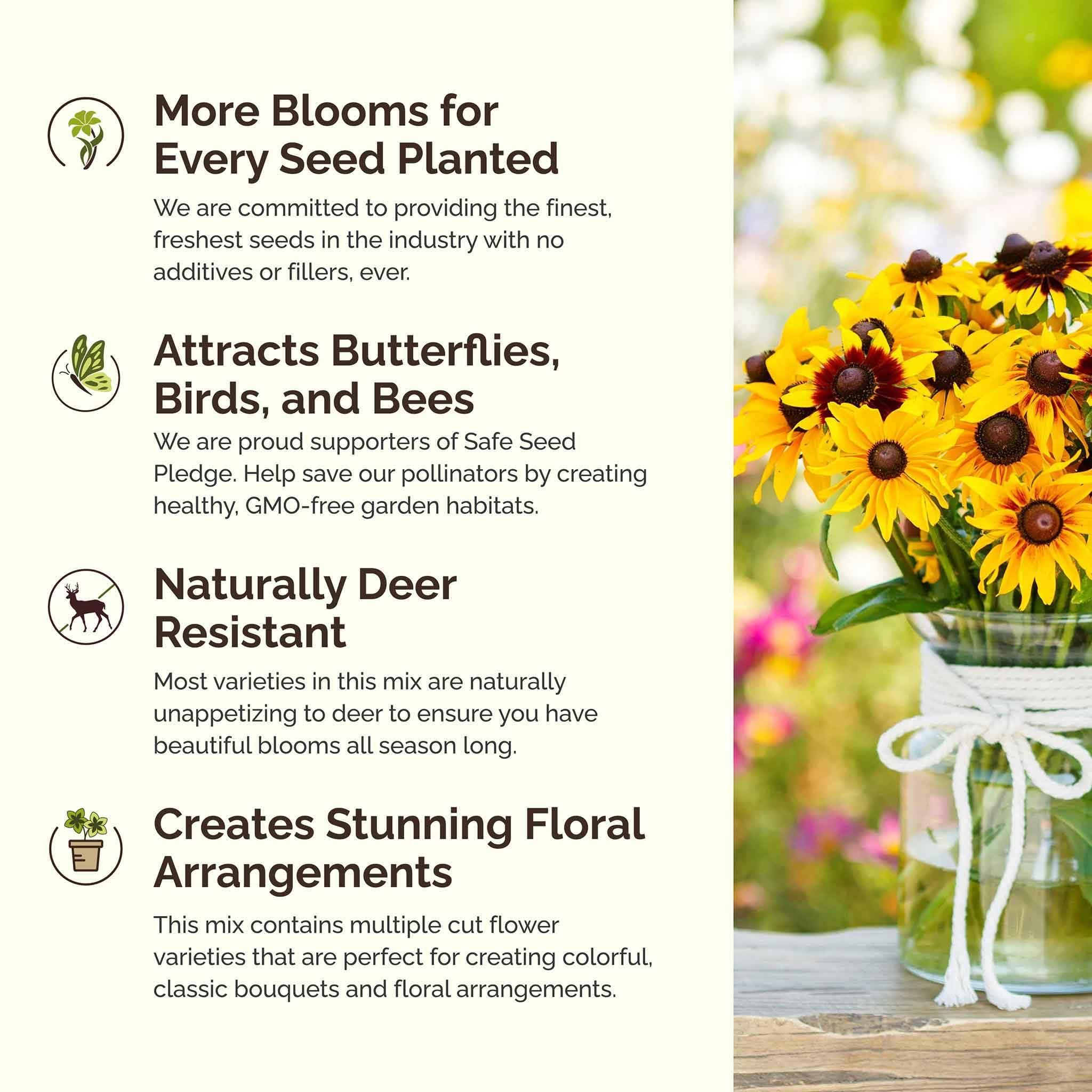 Eden Brothers All Perennial Wildflower Mixed Seeds for Planting, 1/4 lb, 120,000+ Seeds with Lupine, Shasta Daisy | Attracts Pollinators, Plant in Spring or Fall, Zones 3, 4, 5, 6, 7, 8, 9, 10 - Image 4