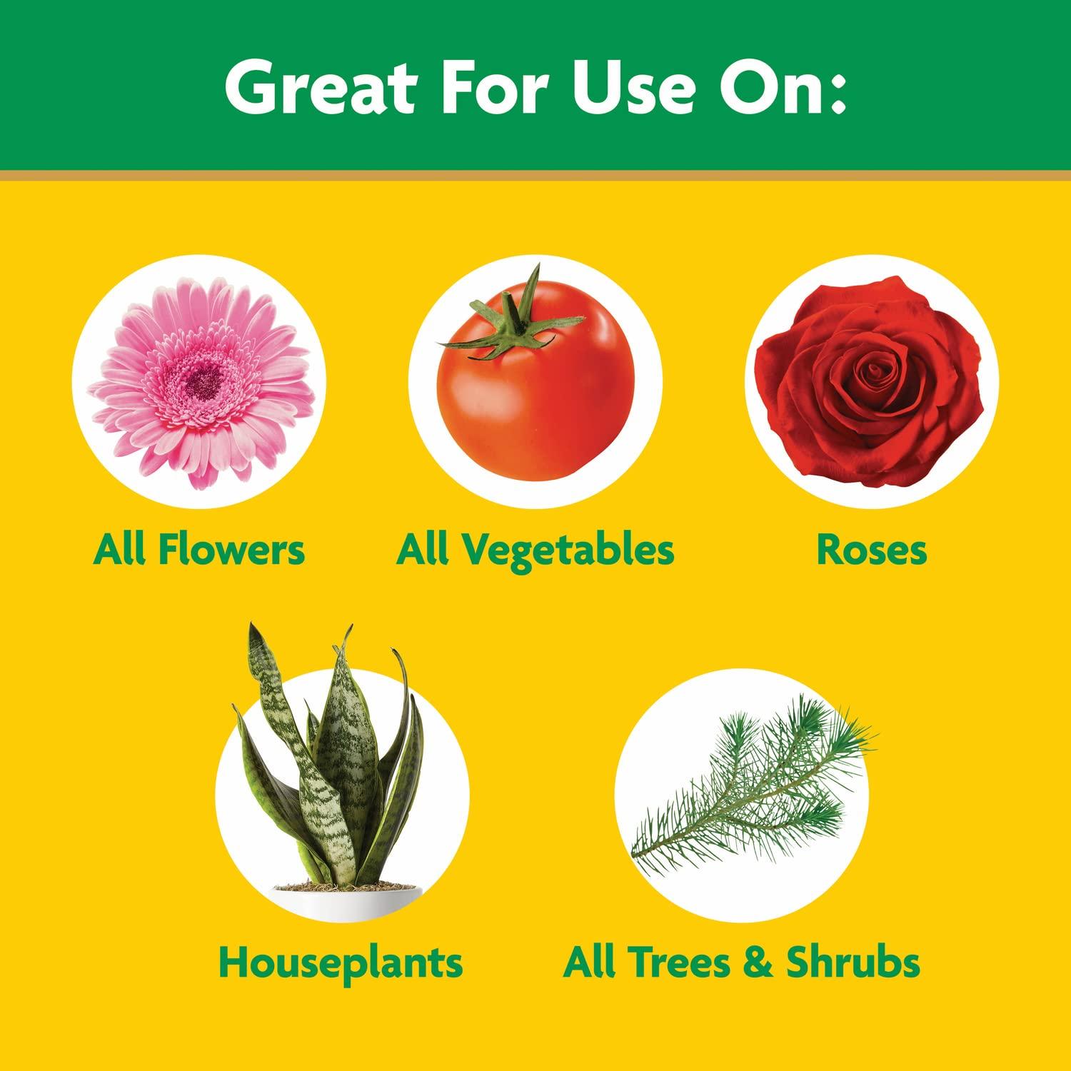 Miracle-Gro Water Soluble All Purpose Plant Food, Plant Fertilizer for Indoor or Outdoor Plants, Roses, Flowers, Houseplants, Vegetables and Trees, 10 lb. - Image 5