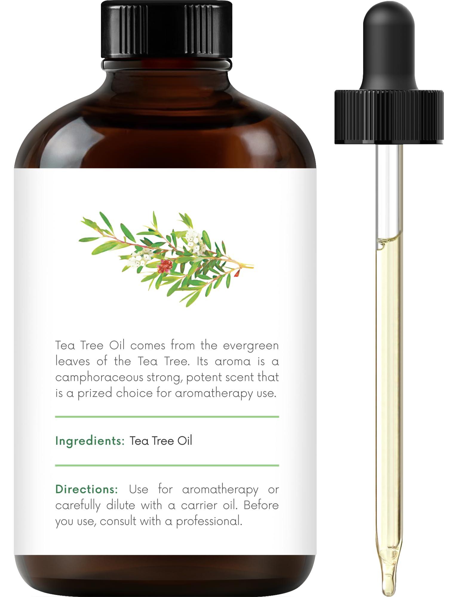 Handcraft Blends Tea Tree Essential Oil - Huge 4 Fl Oz - 100% Pure and Natural - Premium Grade Essential Oil for Diffuser and Aromatherapy, and DIY Soap Making - Image 3