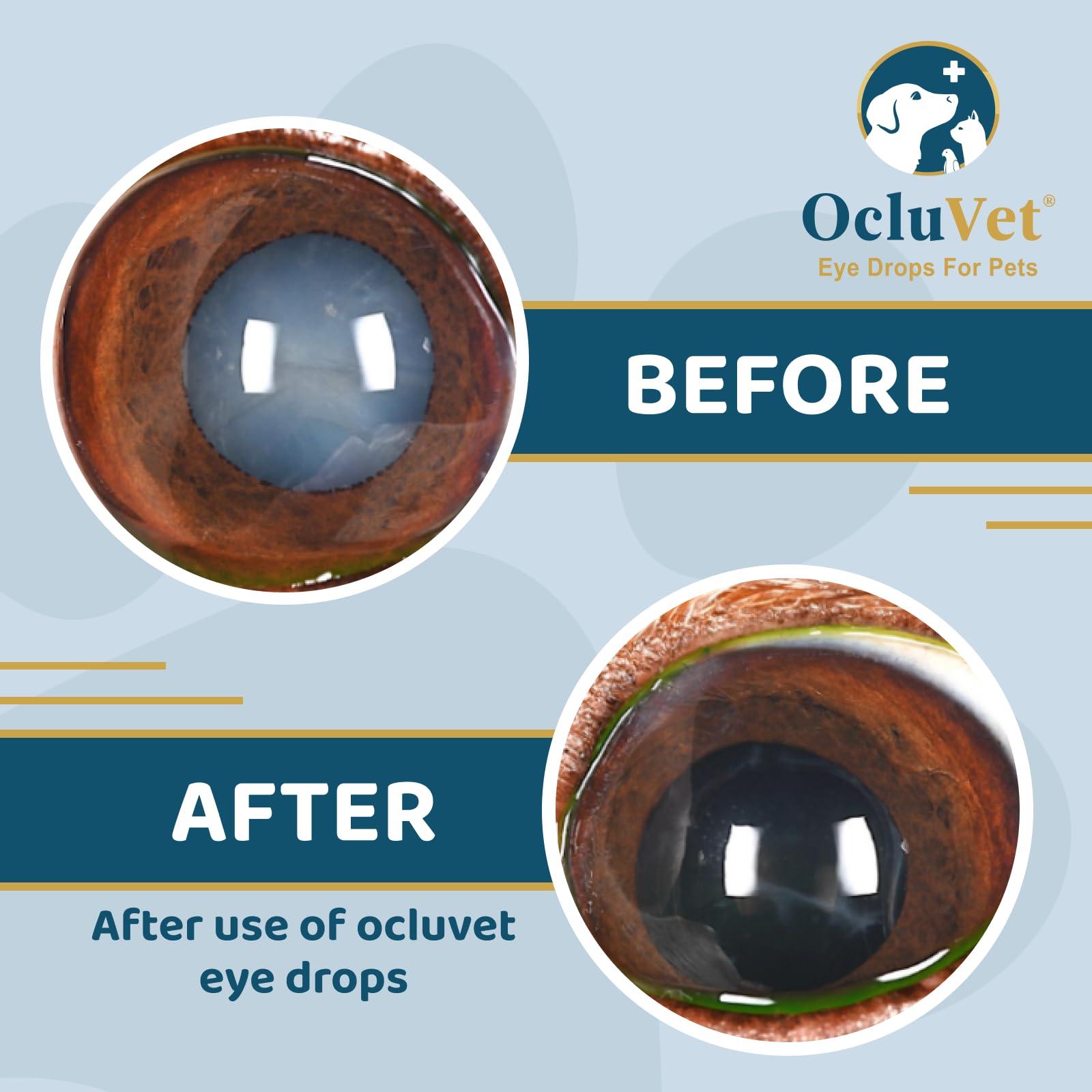 OcluVet Eye Drops for Pets | Clinically Studied Antioxidants for Pets with Cataracts | Made in The USA | Includes 2% N-Acetyl-L-Carnosine (NAC) | 16mL - Image 4