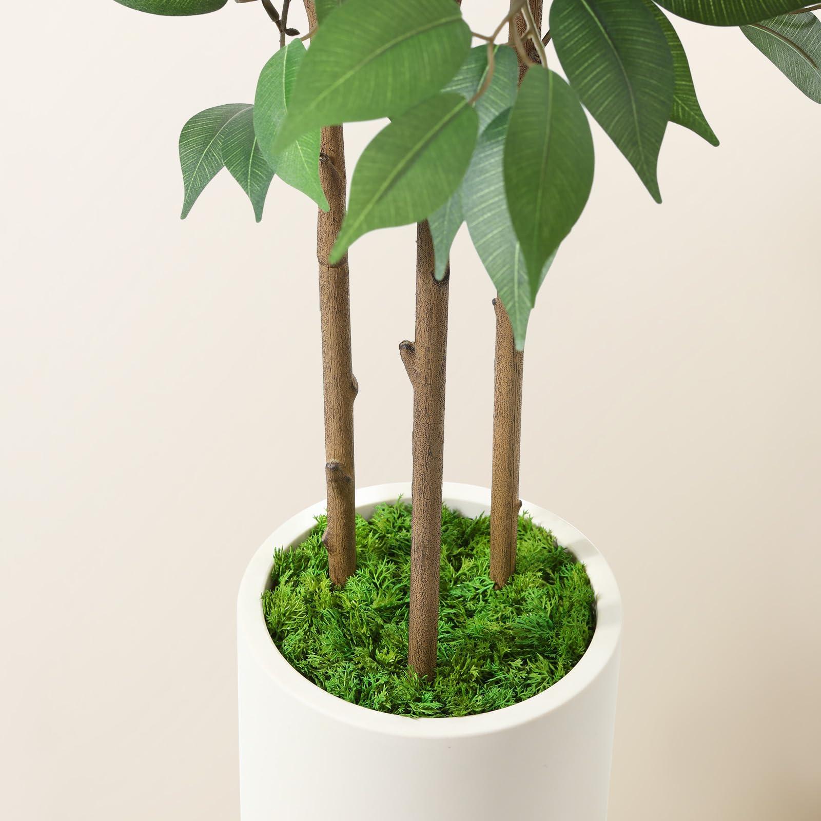 SOGUYI Ficus Artificial Tree 5ft Tall Fake Ficus Tree for Home Decor Indoor Faux Silk Ficus Plant Fake Floor Plant in White Imitation Ceramic Planter with Green Fake Moss, Set of 1 - Image 6