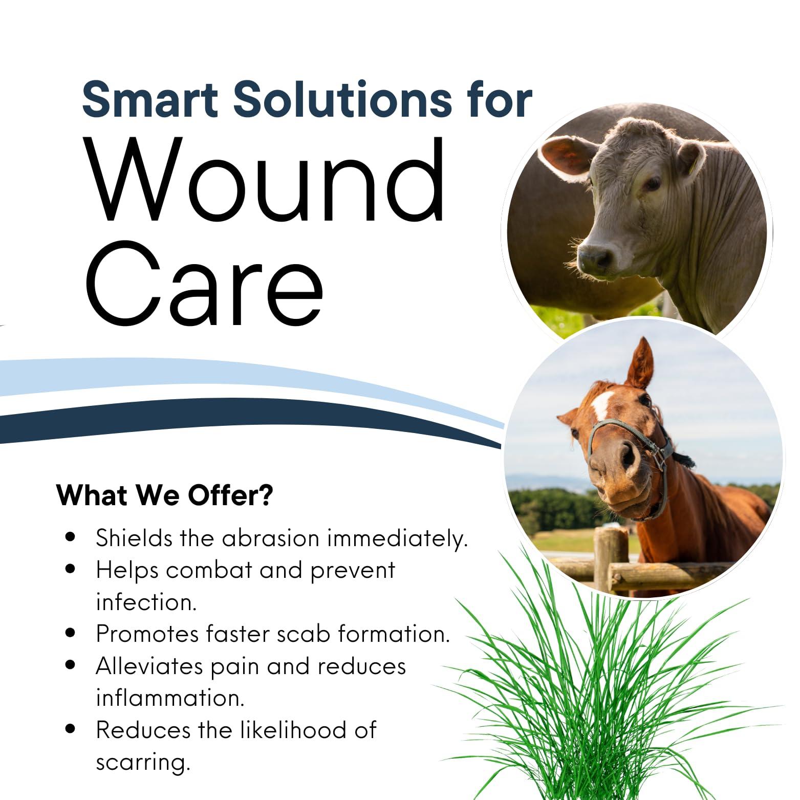 Wound Salve - for Horses, Pets, Livestock & People - Calendula, Shields Abrasions, Stops Infections, Promotes Scabbing, Reduces Inflammation & Scarring, Vet-Approved - Bev's Magic Salve (6 oz) - Image 2