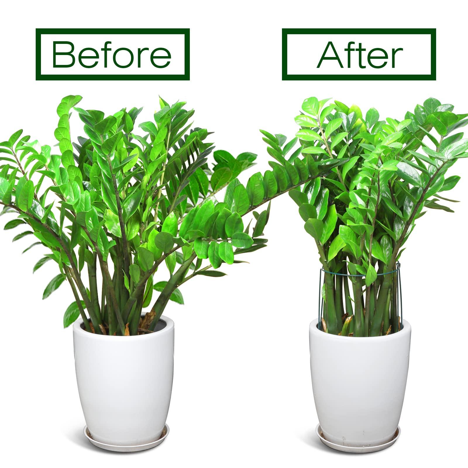 LEOBRO Plant Support Stakes, 4 PCS Plant Stakes, Plant Support, Peony Cages and Supports, Garden Stakes, Plant Stakes for Indoor Outdoor Plants, Hydrangea Support Cage, 10" W x 15.8" H - Image 6