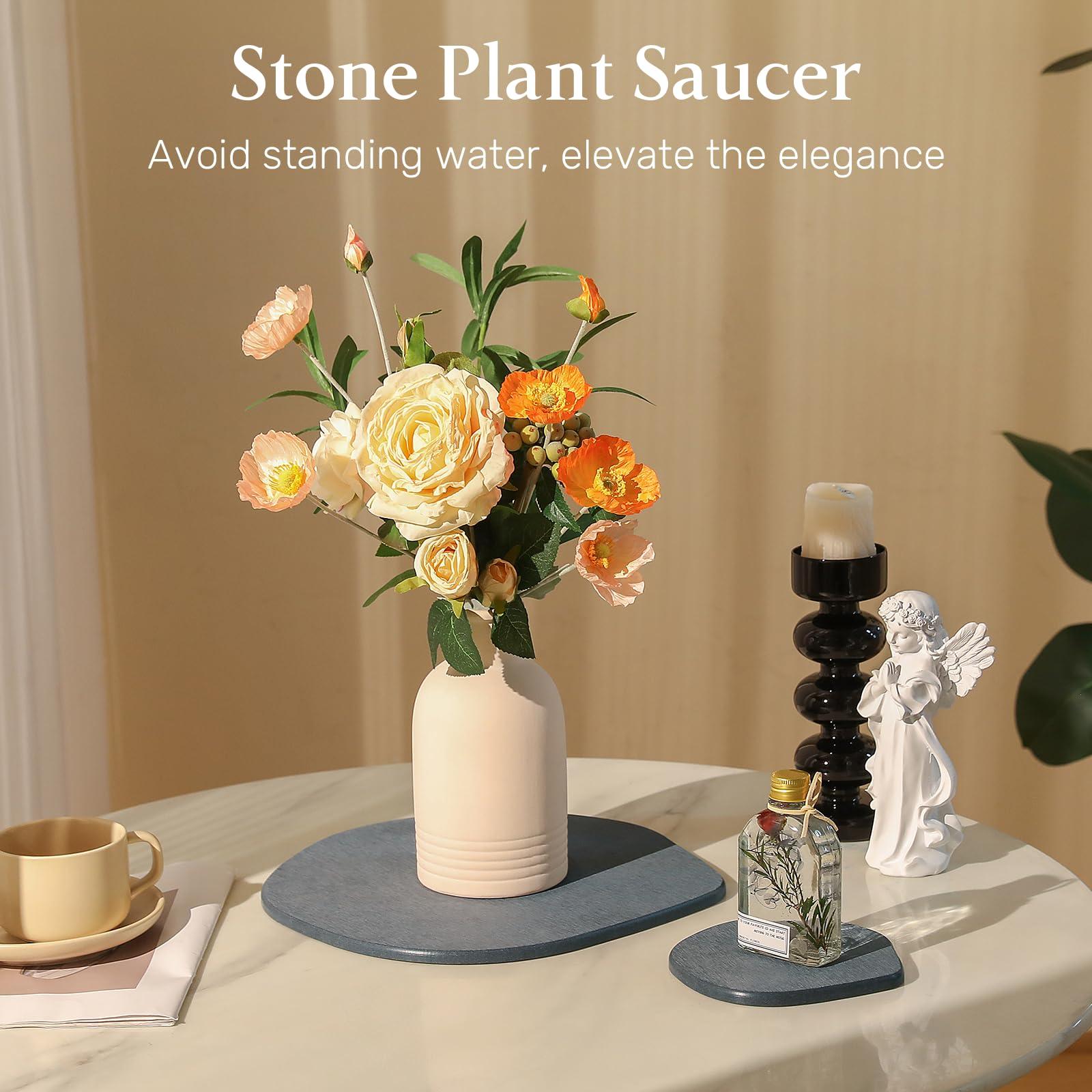 Plentio 2 Pack 6 Inch Plant Saucer Irregular Diatomite Super Absorbent Stone Plant Trays Durable Flower Plates Quick Drying Plant Trays for Pot to Catch Water Indoor Plants - Image 3