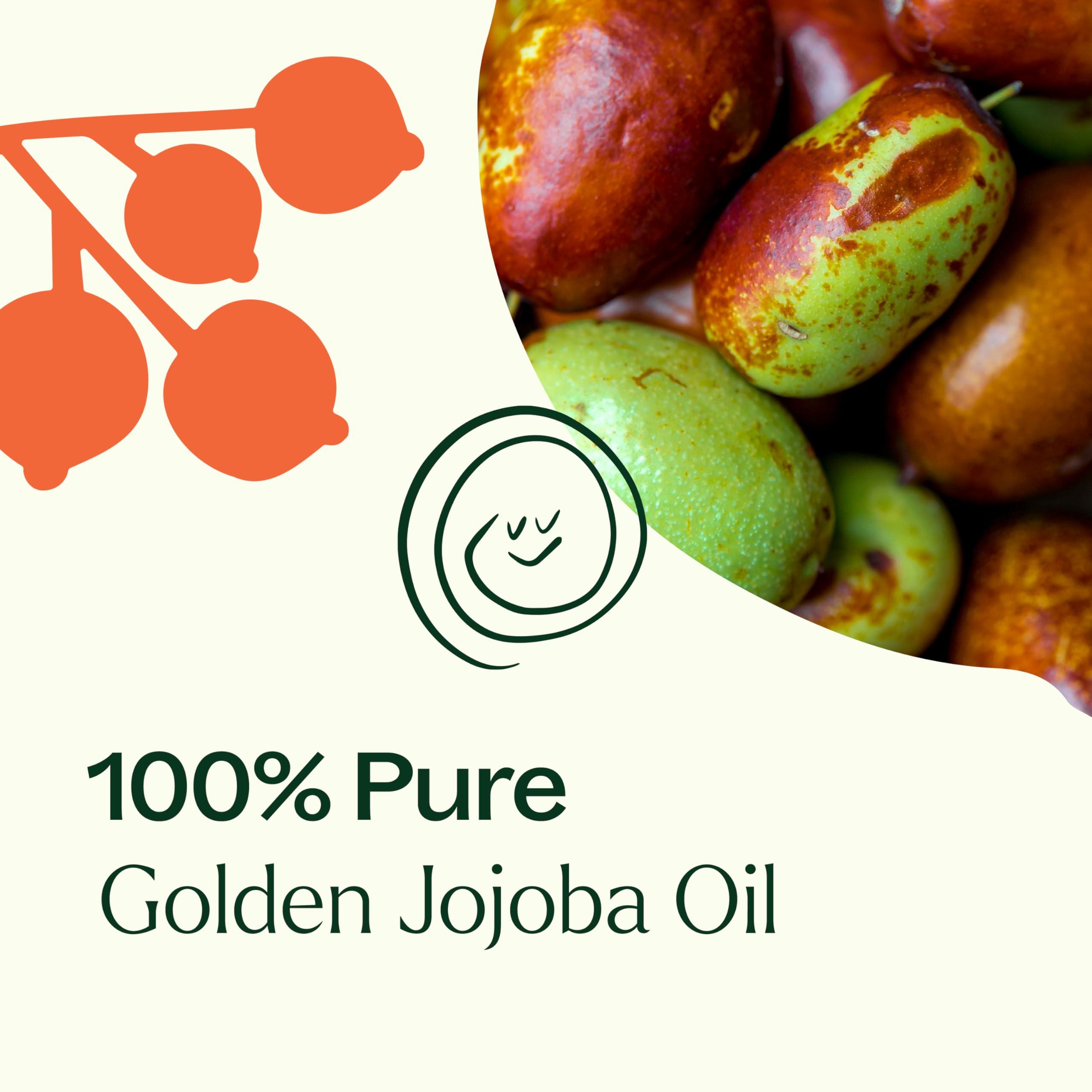 Plant Therapy Jojoba Golden Carrier Oil 4 oz 100% Pure, Cold-Pressed, Natural and GMO-Free Moisturizer and Carrier Oil for Essential Oils - Image 5
