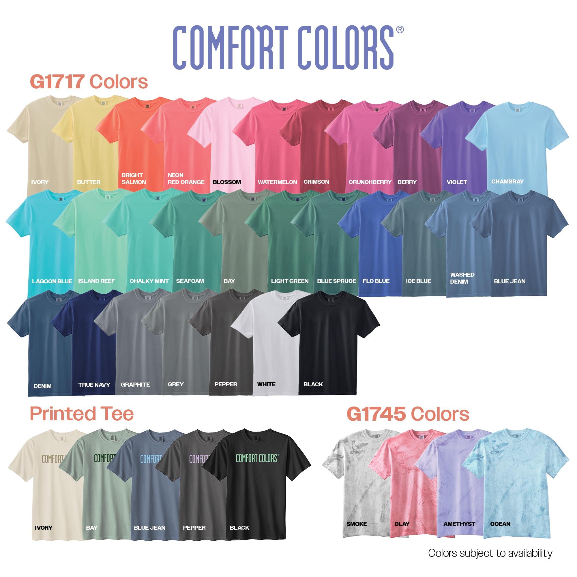 Comfort Colors Adult Heavyweight Short Sleeve Tee, Style G1717/G1745, Multipack - Image 4