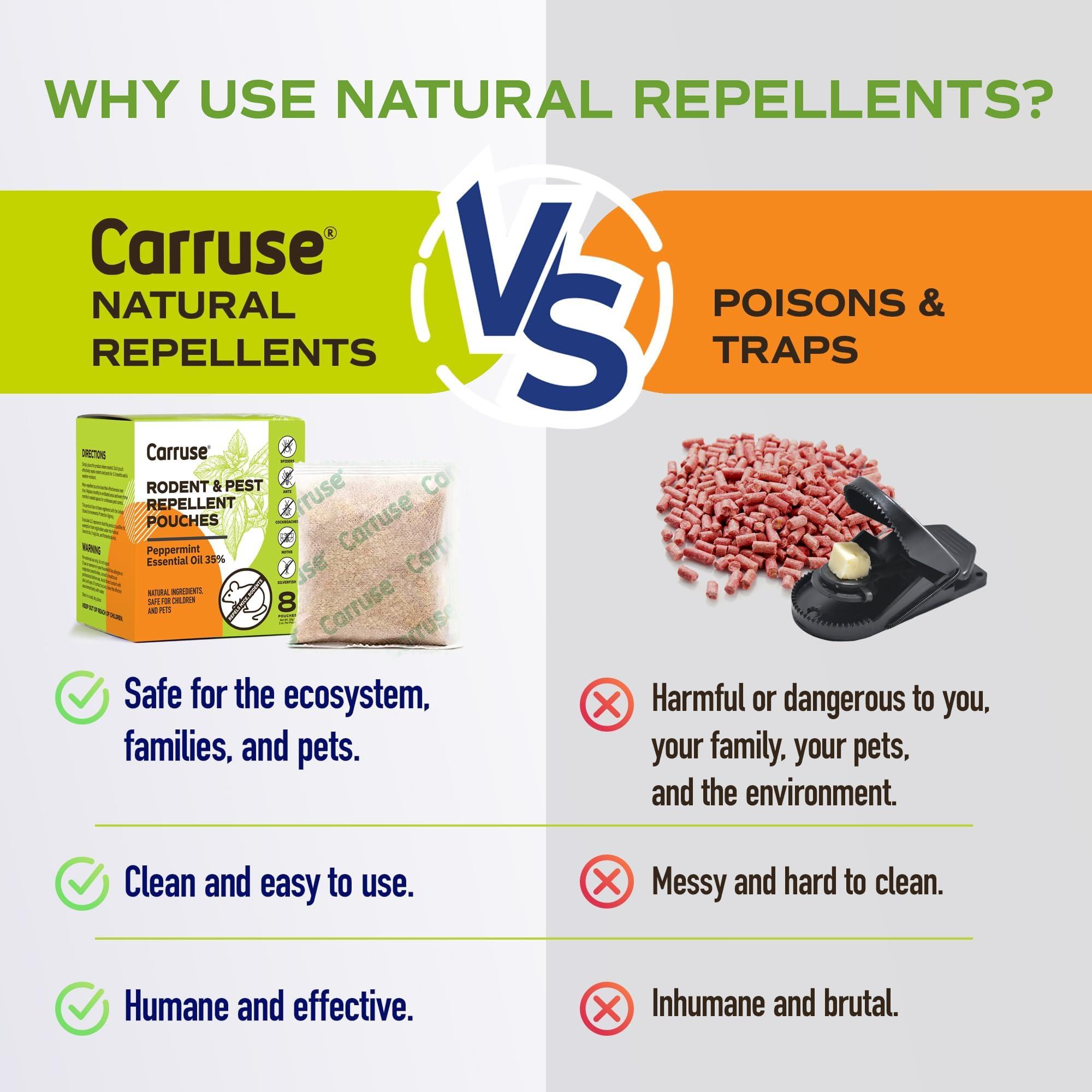 Mouse Rodent Repellent Peppermint Oils: Rate/Spiders/Moths/Ants/Roaches/Silverfish Deterrent - Squirrel Repellent - Car Engines/RV/Truck/Boat/Garage/Shed/Cabin - Indoor Mice Repellent Pouches - Image 5