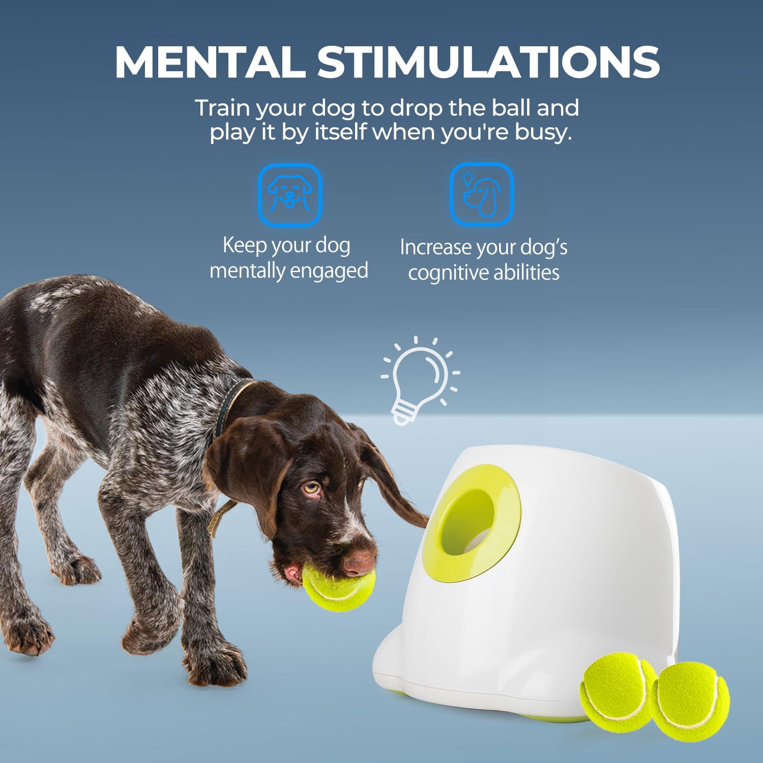 ALL FOR PAWS Automatic Dog Ball Launcher Maxi, Interactive Ball Thrower Dog Toys Includes 6pcs Tennis Balls for Large Dogs - Image 2