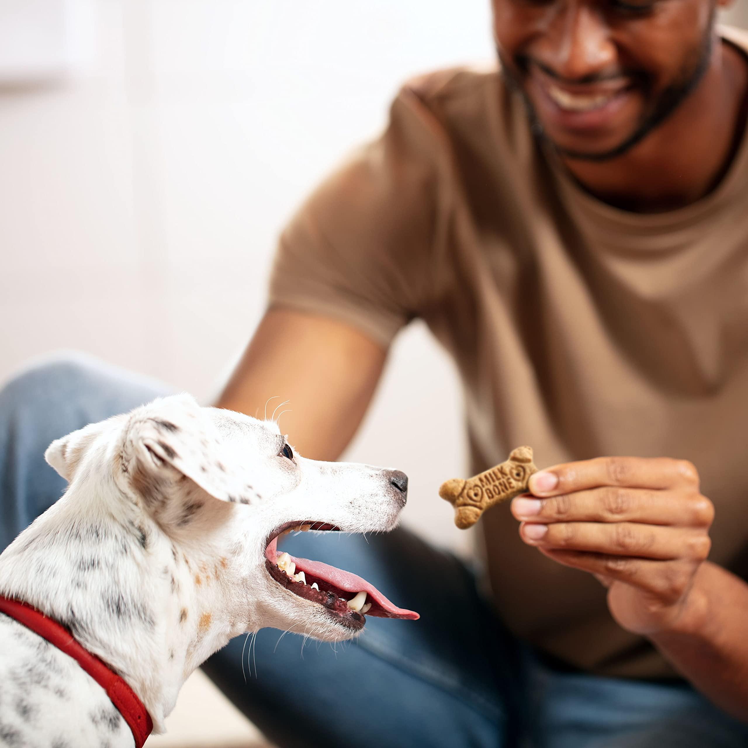 Milk-Bone Flavor Snacks Small Dog Biscuits, Flavored Crunchy Dog Treats, 7 Pound Box - Image 6
