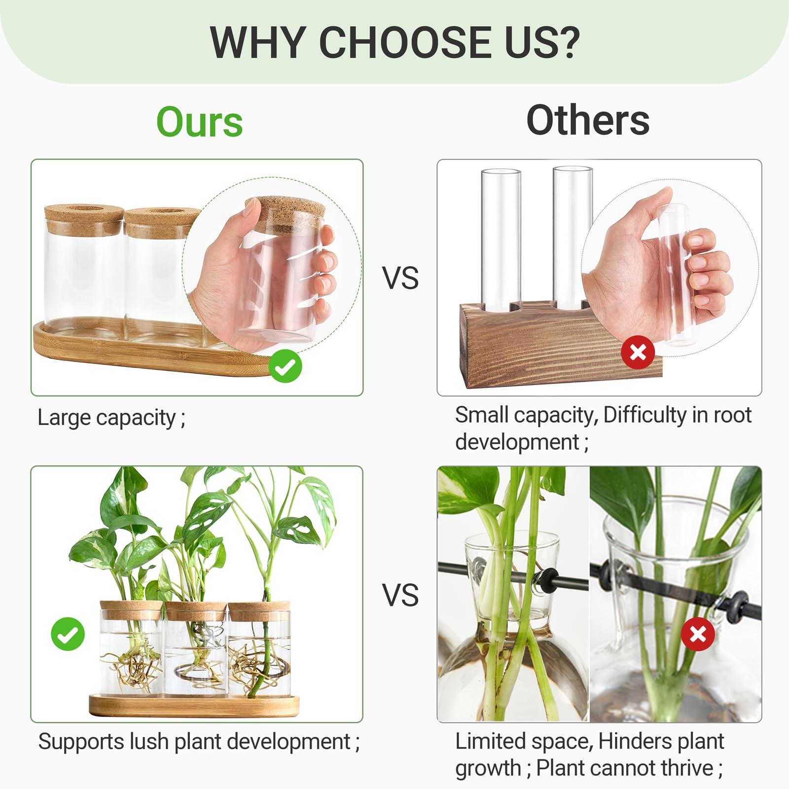 Dahey Plant Propagation Terrarium Desktop Glass Planter Station Water Planting Glass Vase with Lid and Wooden Stand for Propagating Hydroponic Plants Centerpiece Office Home Garden Decor, 4 Pcs - Image 5
