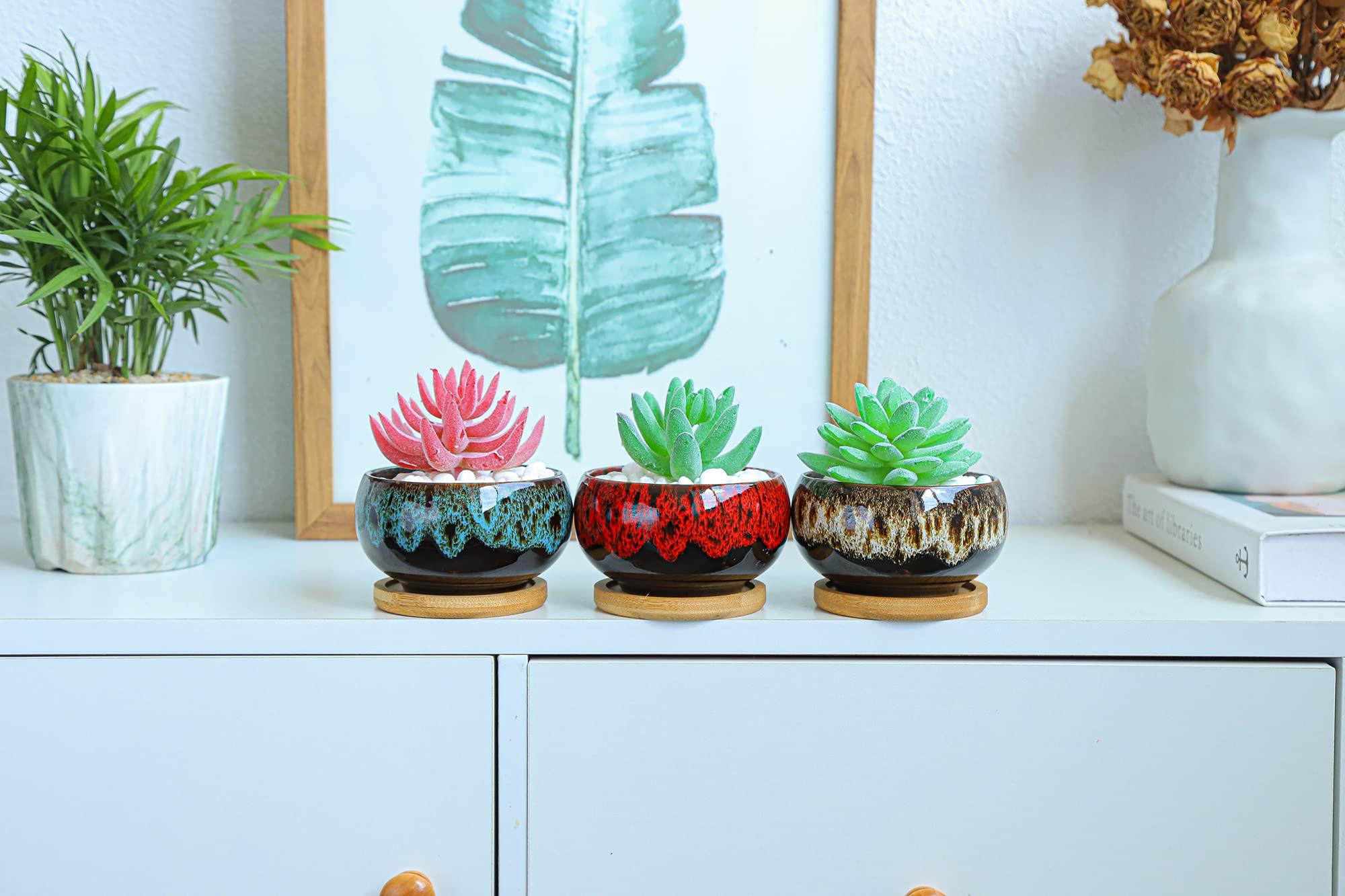 LAMDAWN Cute Ceramic Succulent Garden Pots, Planter with Drainage and Attached Saucer, Set of 5 -Plants Not Included (Round) - Image 8