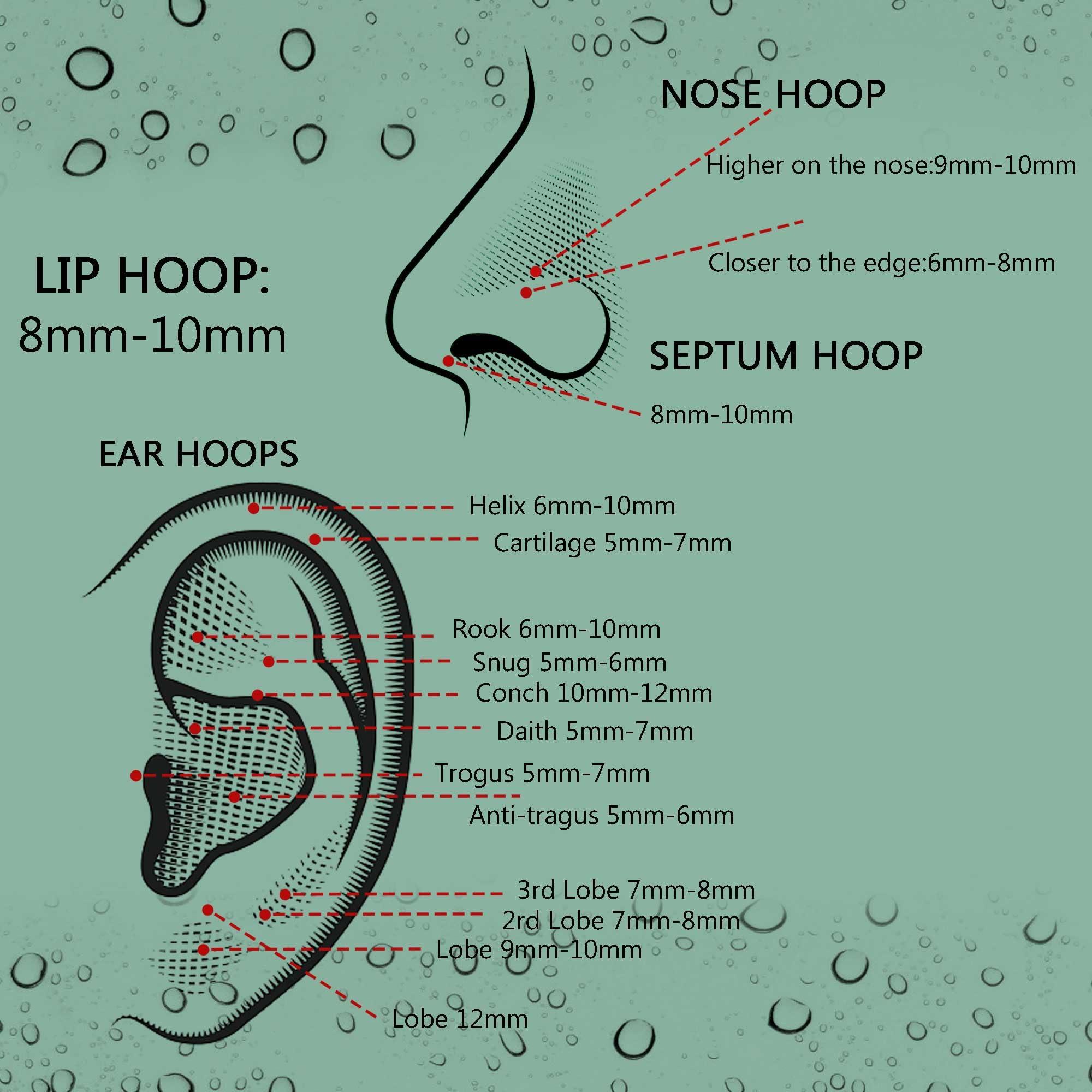 Jstyle 5Pcs 316L Surgical Steel Septum Rings Nose Rings Hoop 16G 18G 20G Hinged Clicker Hoop Nose Rings for Women Men Cartilage Hoop Earring Lip Helix Rook Tragus Conch Septum Nose Piercing Jewelry - Image 6