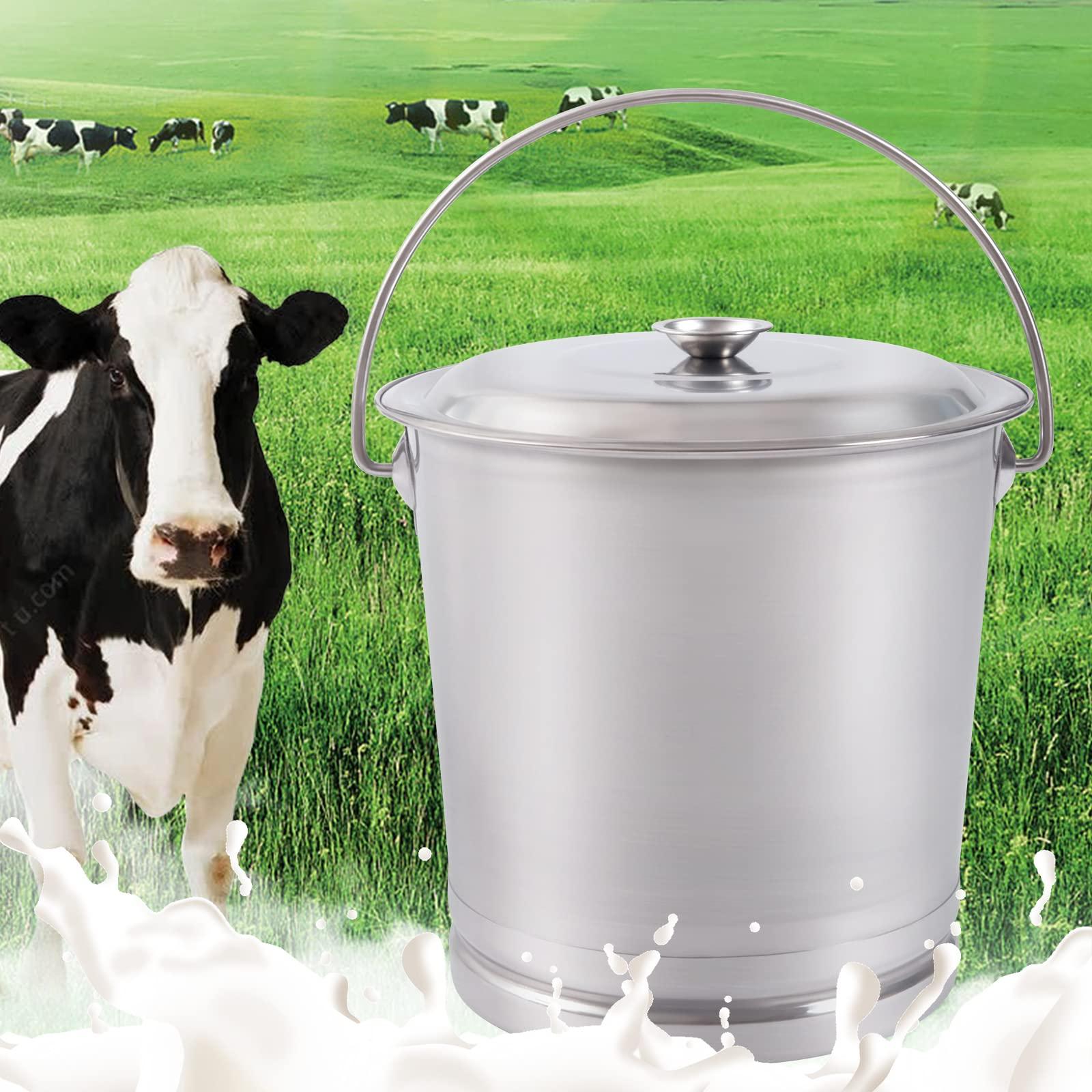 8L/8.5 Qt Stainless Steel Bucket Milk Metal Pail Compost Bucket with Lid & Handle, Kitchen Compost Bin Scrap Food Waste Scrap Slop Storage Buckets Container Garbage Pail, Open Lip Edge - Image 7
