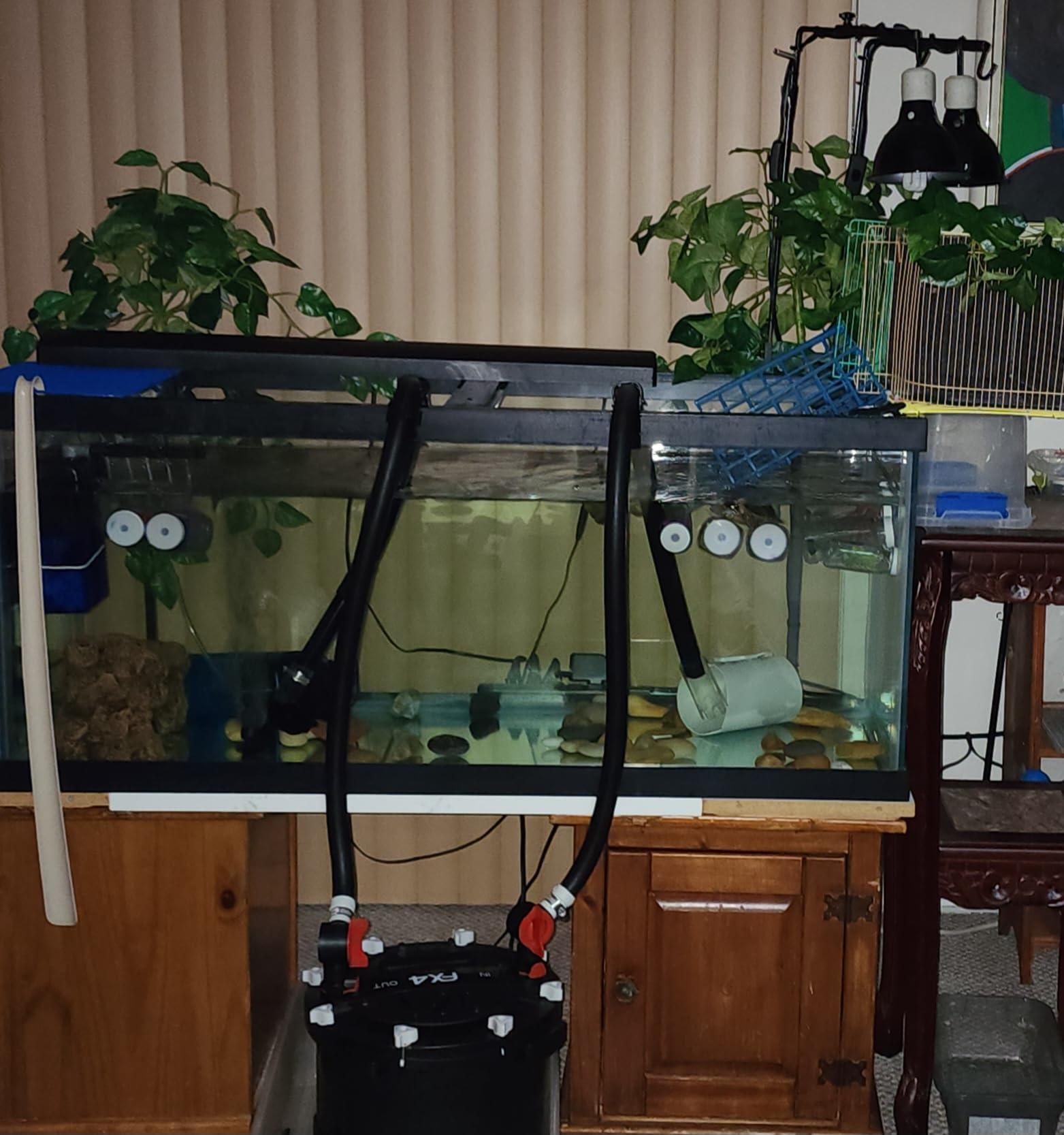 Aquarium Decor Plastic Plants Suction Cups 2 Large 1 Medium Bottles Turtles Pets Platforms Earrings Handmade - Image 8