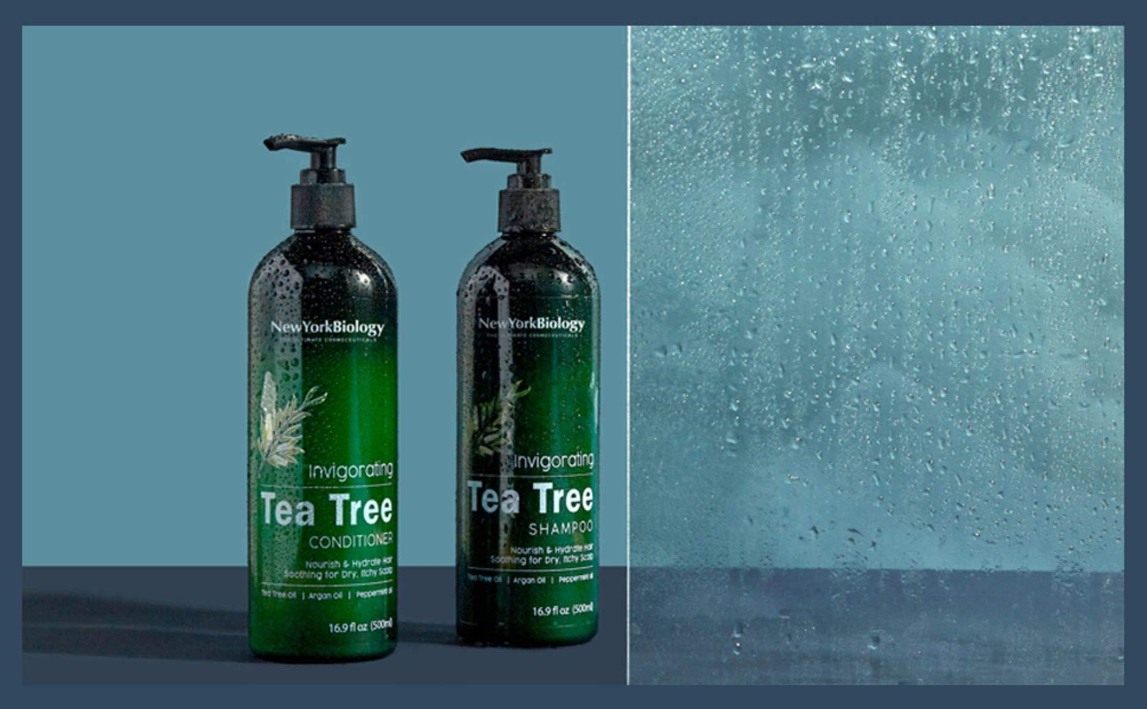 New York Biology Tea Tree Shampoo and Conditioner Set - Deep Cleanser - Relief for Dandruff and Dry Itchy Scalp - Therapeutic Grade - Helps Promote Hair Growth - 16.9 Fl Oz - Image 7