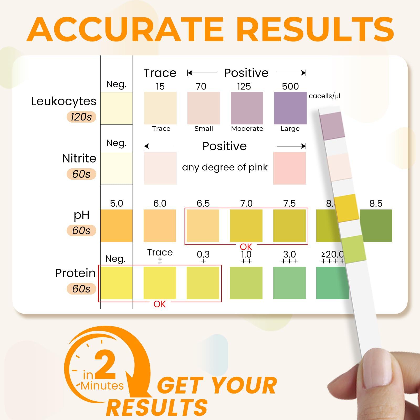 BACNUNN UTI Test Strips for Women: 50ct 4-1 Urine Protein Test Strips for UTI & Bladder - Accurate Readings at Home Urinary Tract Infection Treatments Test Dipstick Kit for Urinalysis - Image 3