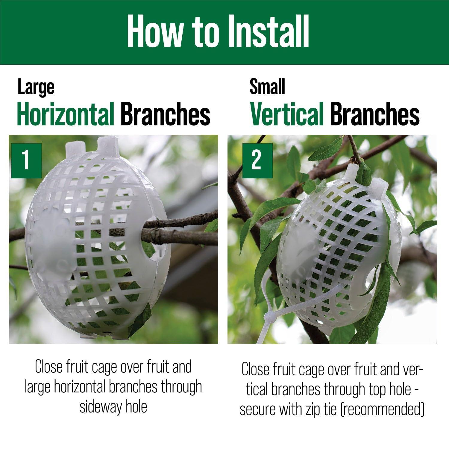 Rooted Promise 12 Pack Small Fruit Protection Cages 4 x 5 inch, Perfect for Protecting Fruit Trees - Made in The USA - Image 3