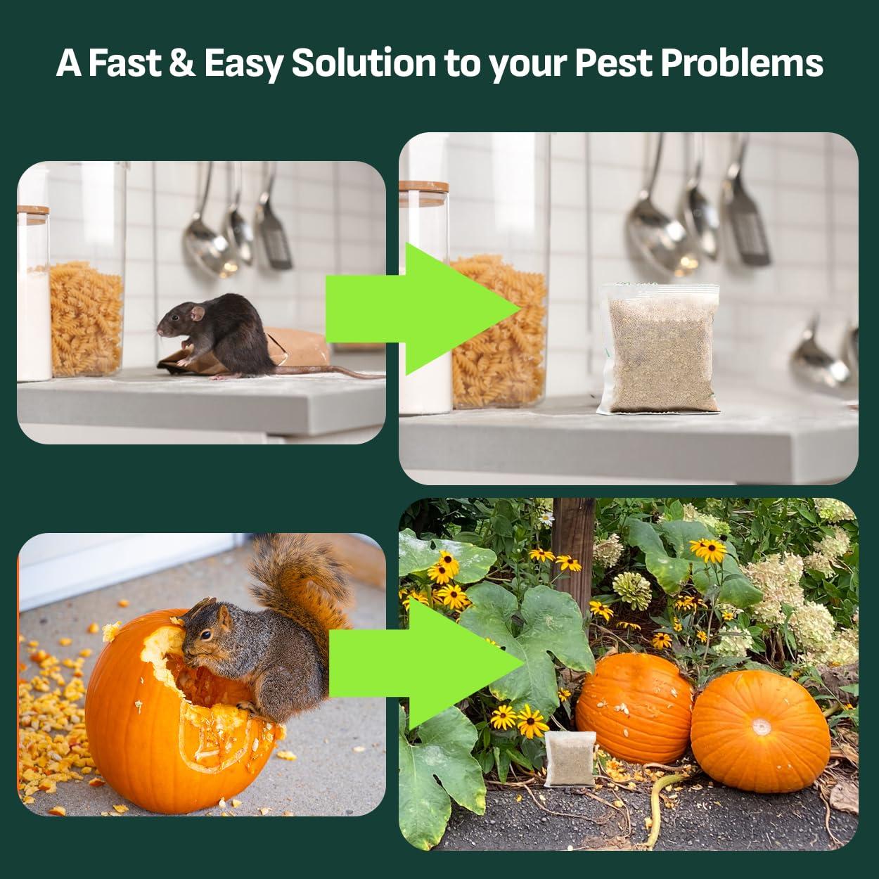 Rodent Repellent, Mouse Repellent Pouches, Mice Repellent Indoor, Rat Repellent for House, Extra-Strength Peppermint to Repel Mice and Rats, Mouse Deterrent Outdoor, Keep Mice Out of Camper - 12 Pack - Image 7