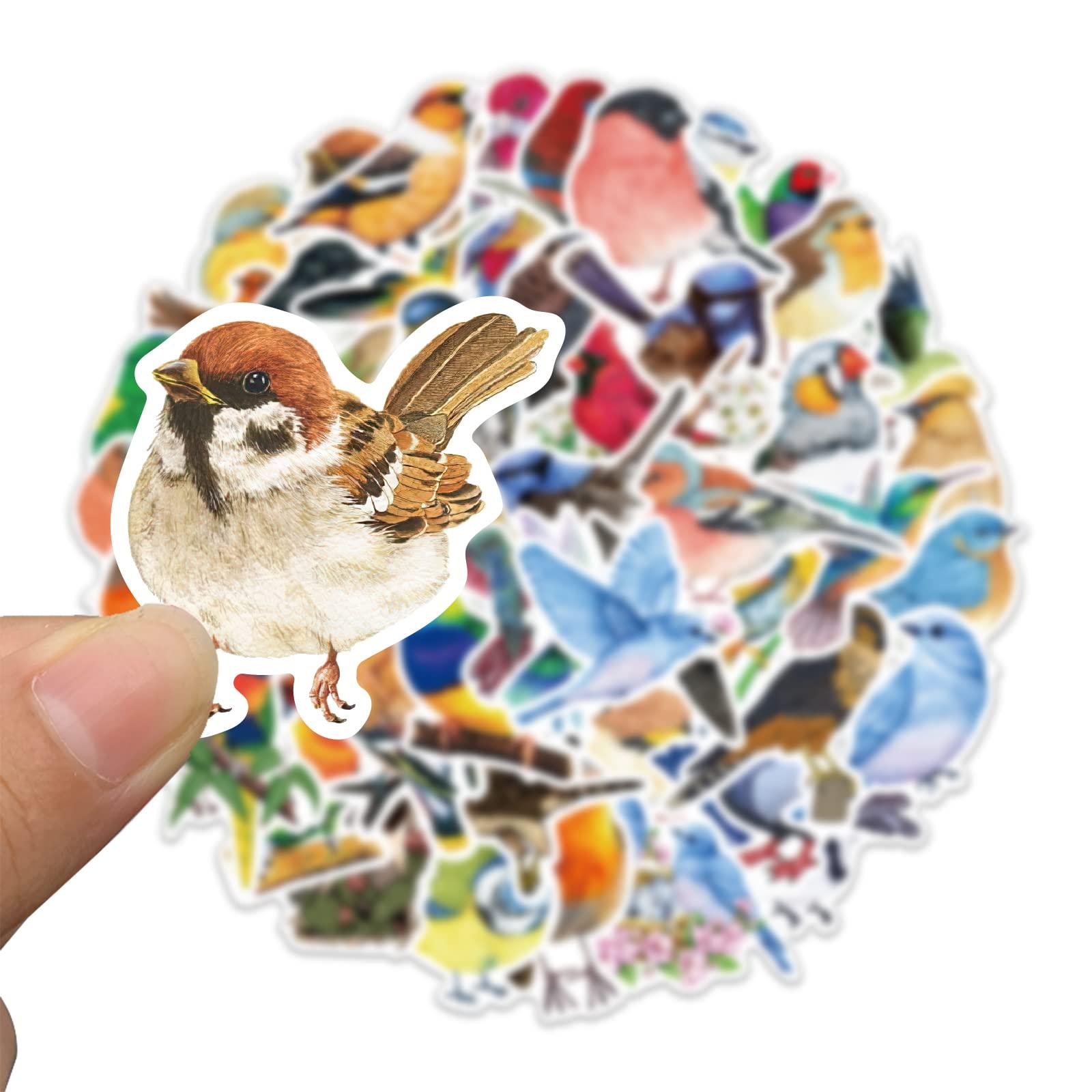 100 PCS Bird Stickers, Vinyl Waterproof Bird Stickers for Water Bottles, Laptop, Notebook, Scrapbook, Luggage, Cell Phone, Skateboard, Helmet - Image 6