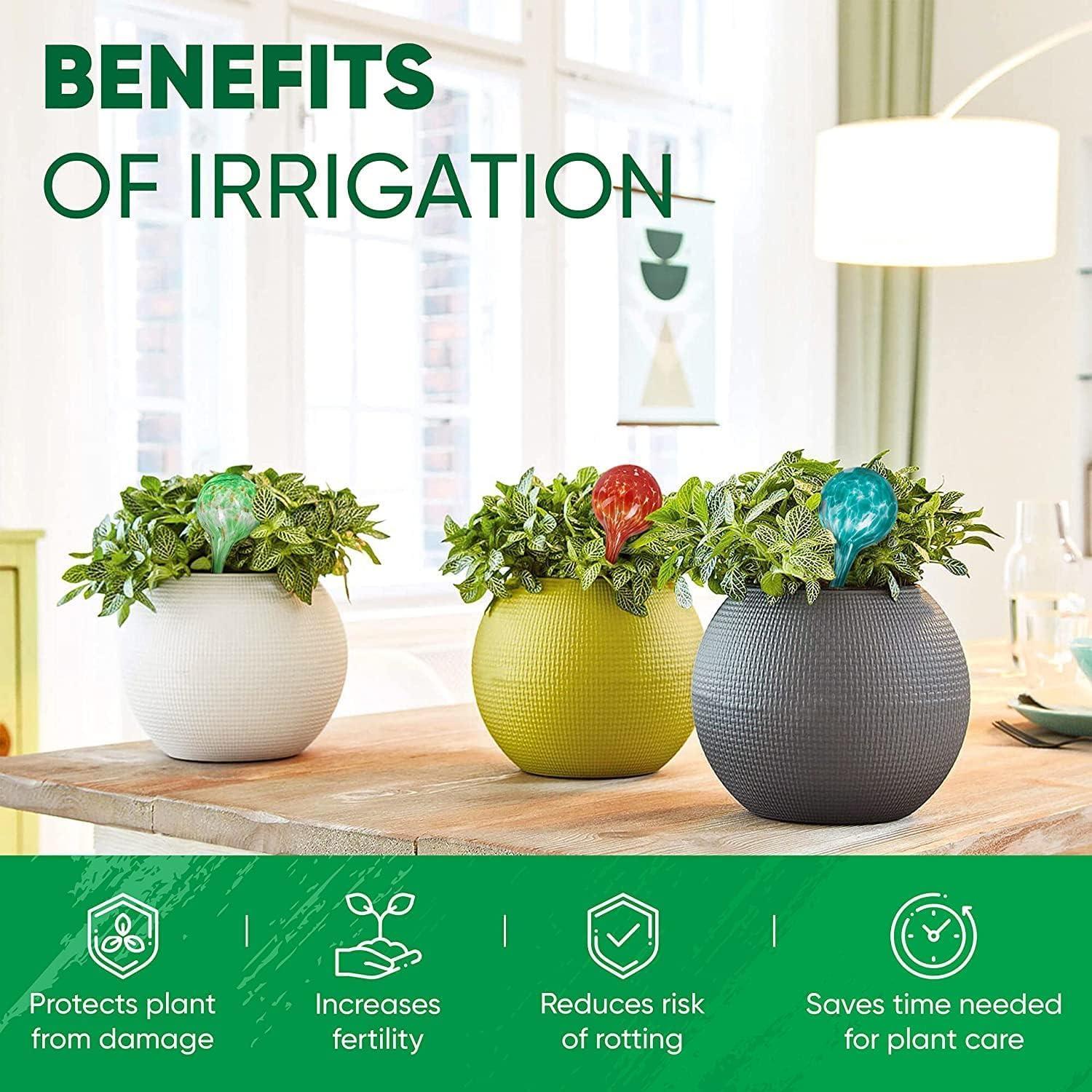 Mission Gallery Plant Watering Globes Set of 6 - Small Self Watering Globes for Indoor & Outdoor Plants - Multicolored, Automatic, Glass Watering Bulbs for Daily Use, Plant Watering Devices - Image 5