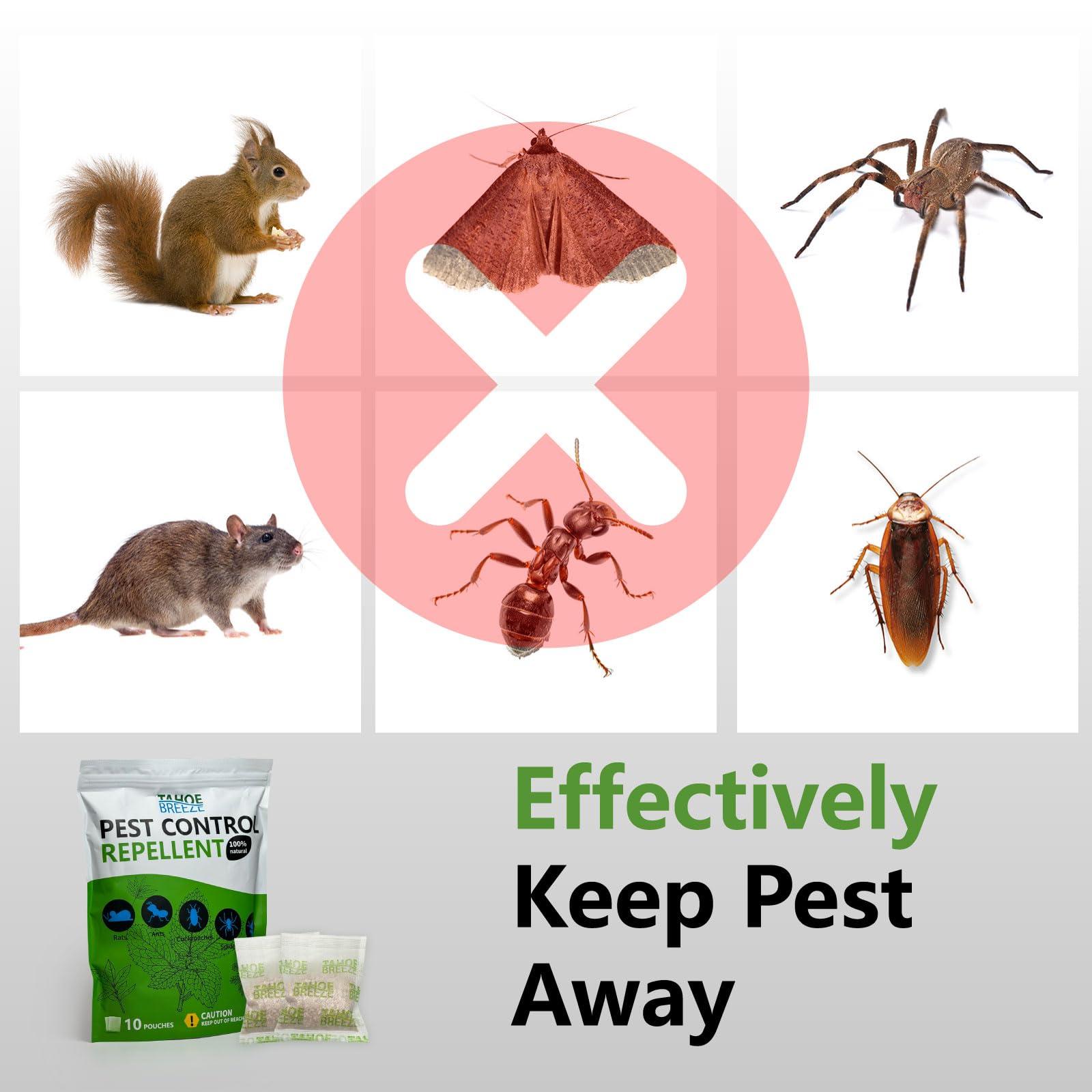 Pest Control Pouches, Rodent Repellent, Mouse Repellent, Peppermint Oil to Repel Ants, Spiders, Roaches, Moths & Other Pests, Mice Repellent Indoor All Natural Safe for Kids & Pets-10 Pouches - Image 2