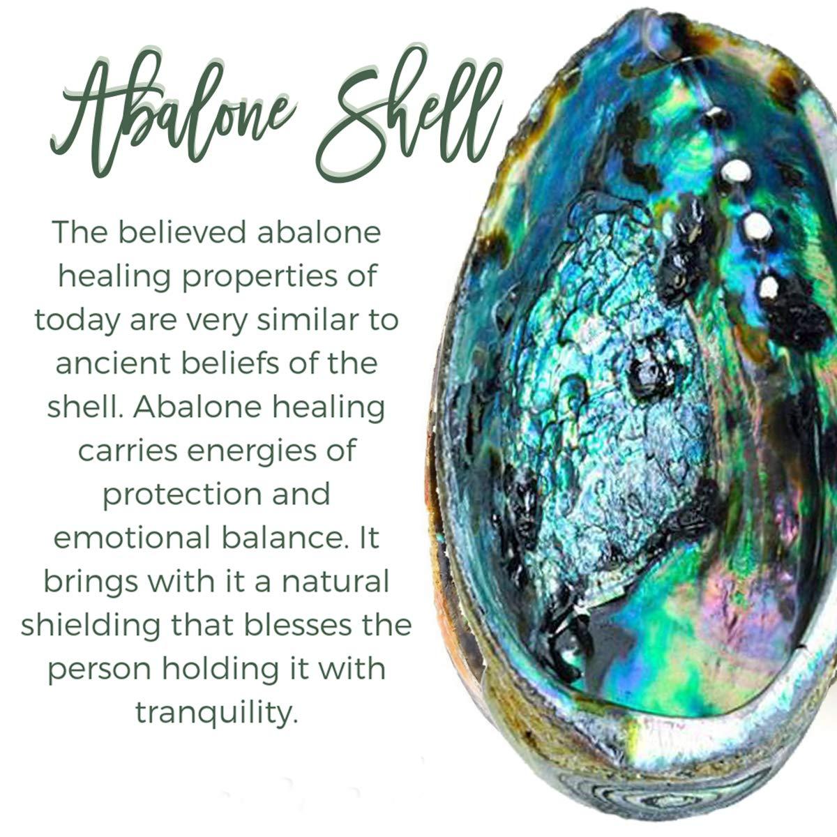 sedmart Tear Drop Abalone Shell Pendent Necklace Wire Wrap Abalone Shell Tree of Life Pendant Necklace Fashion Necklace Jewelry for Women handmade necklace mothers day necklace for mom jewelry - Image 5